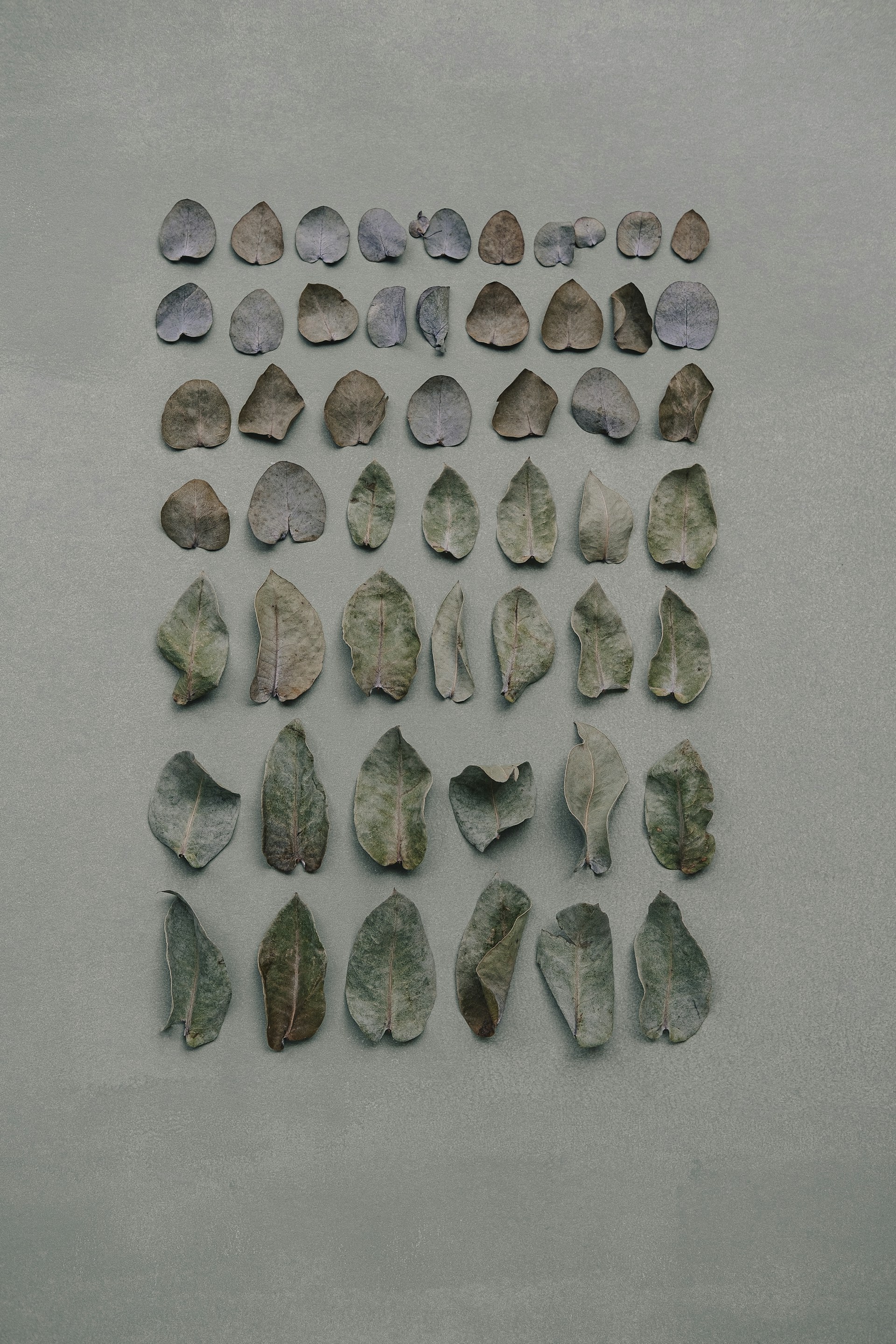A group of rocks sitting on top of a white surface