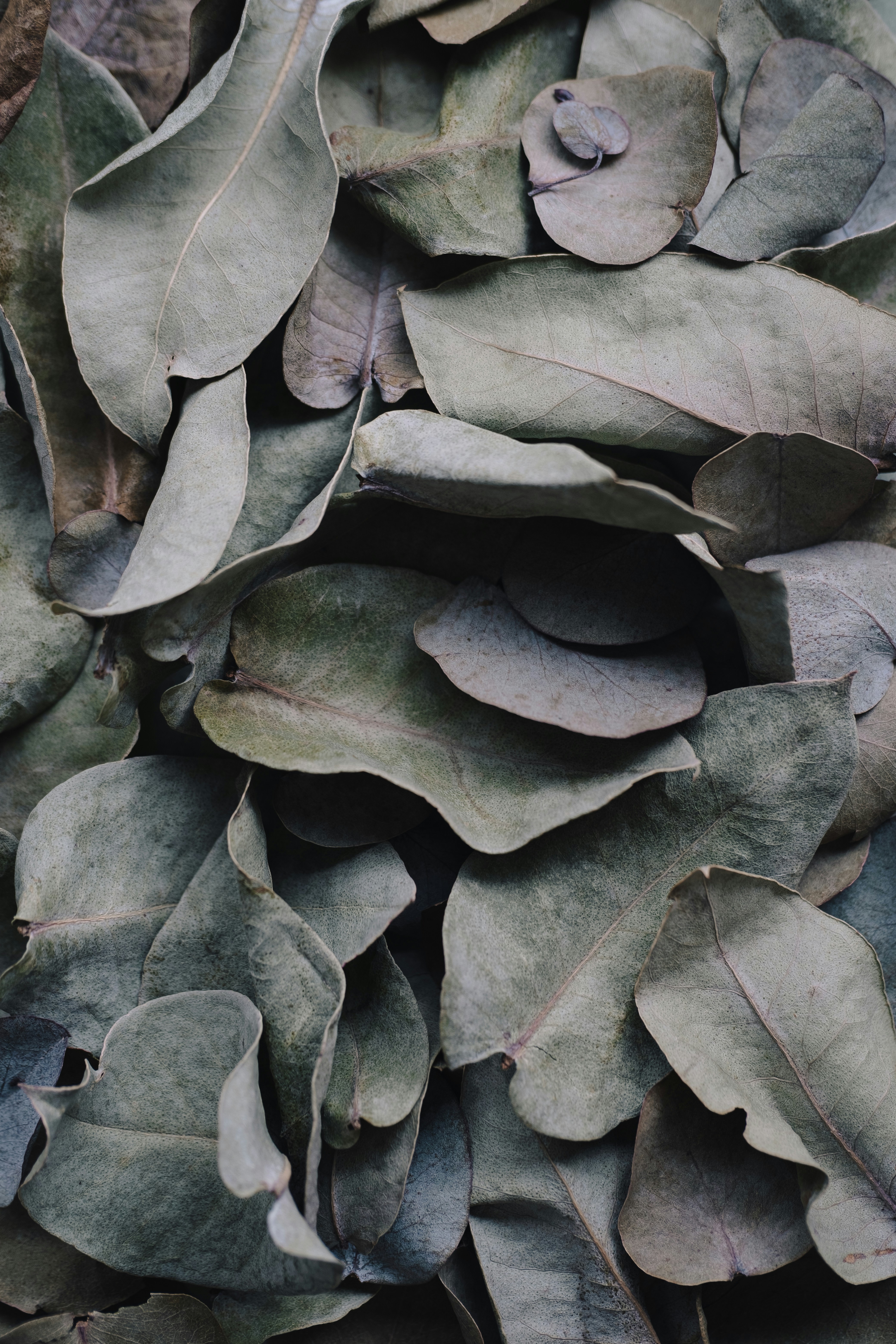 Photo by 360floralflaves