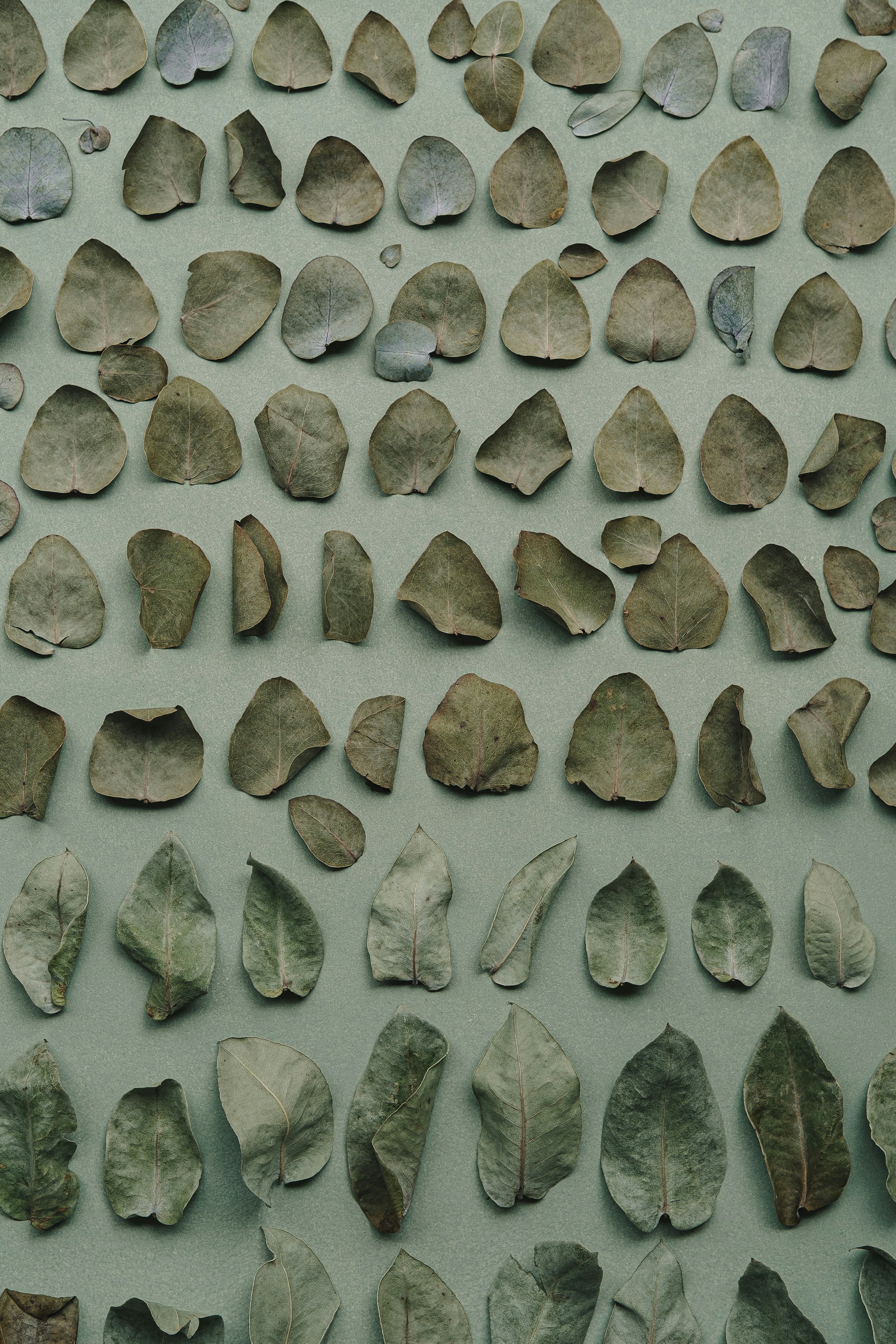 The Global and the Local