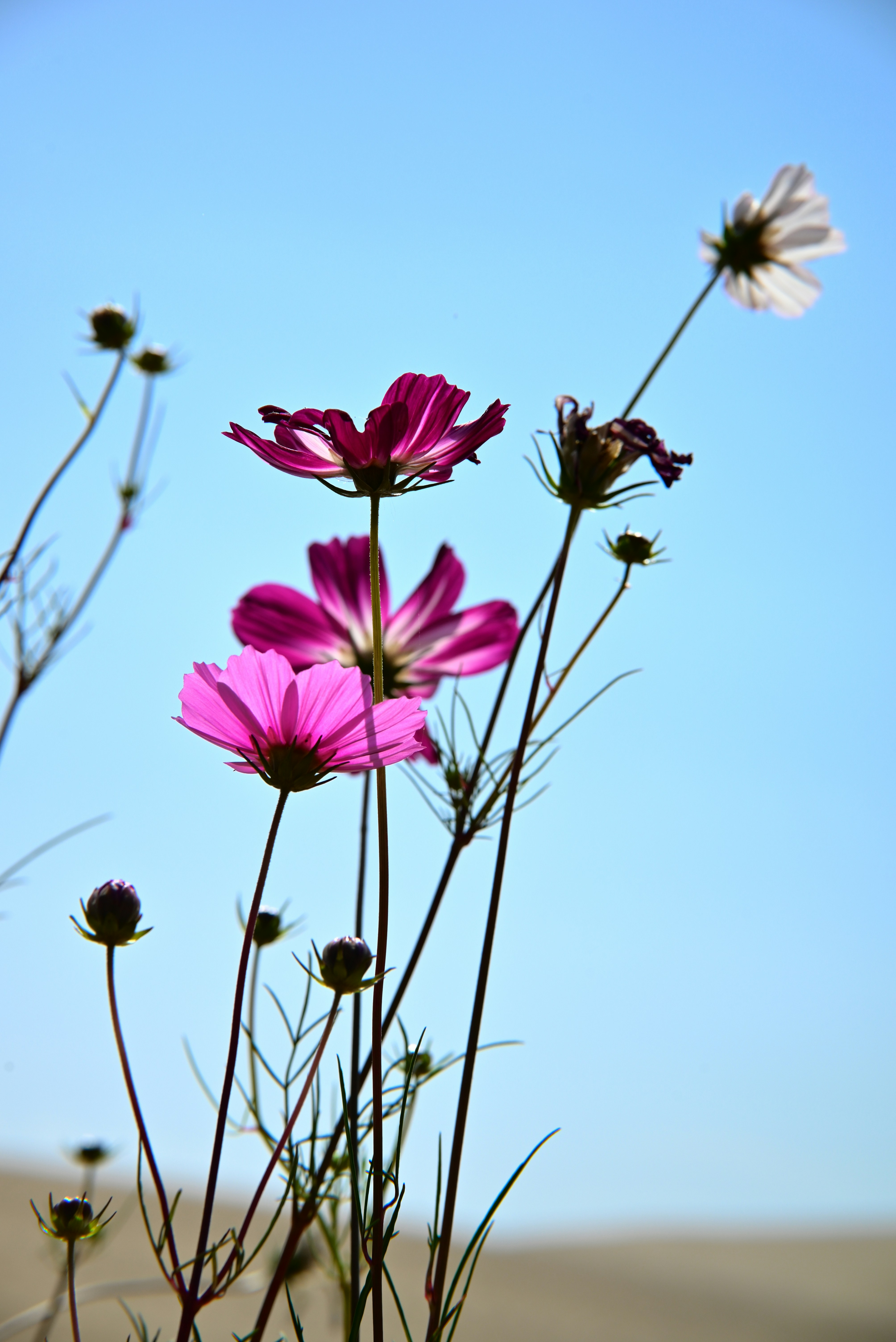 Photo by wangbinghua