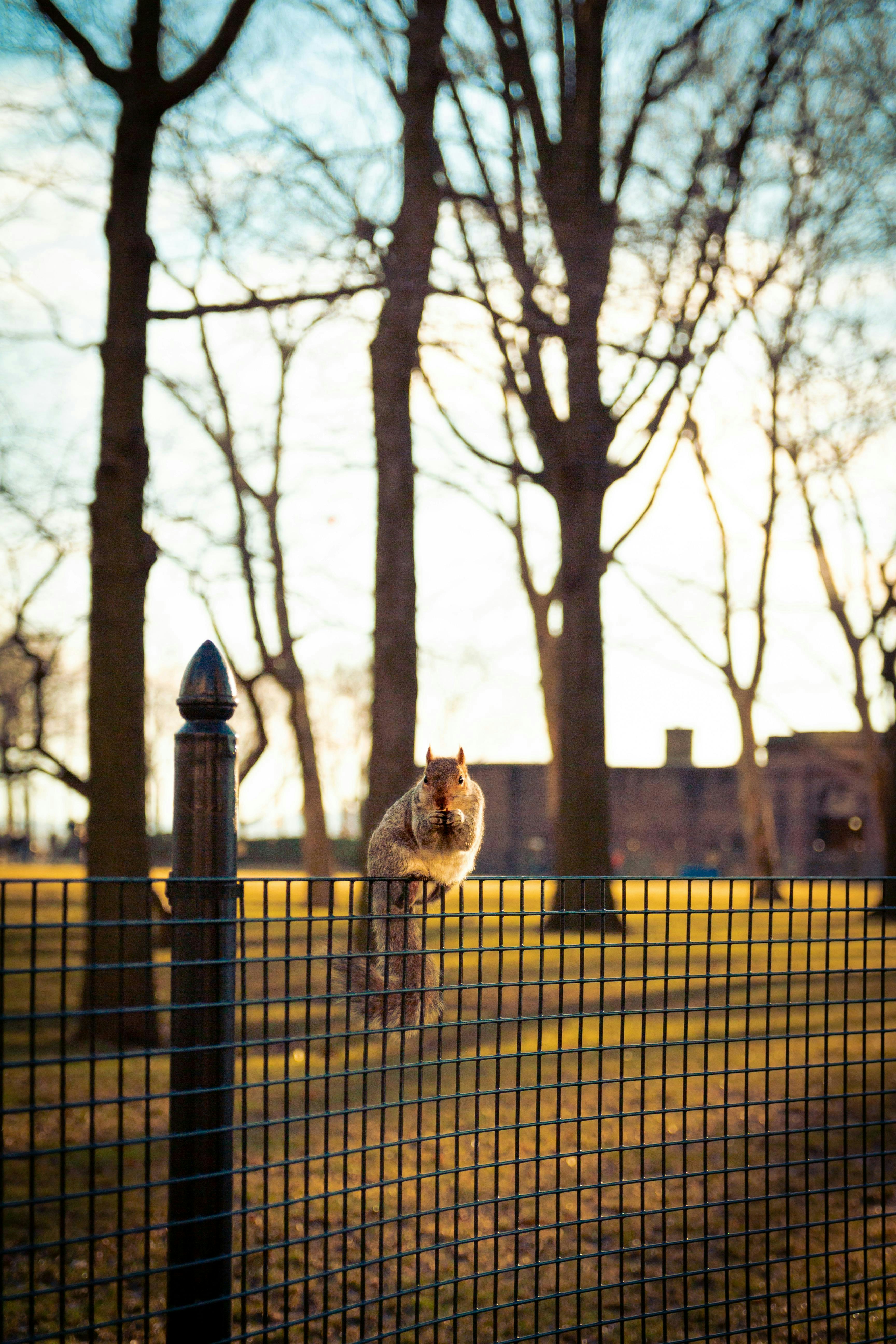A person riding a bike behind a fence