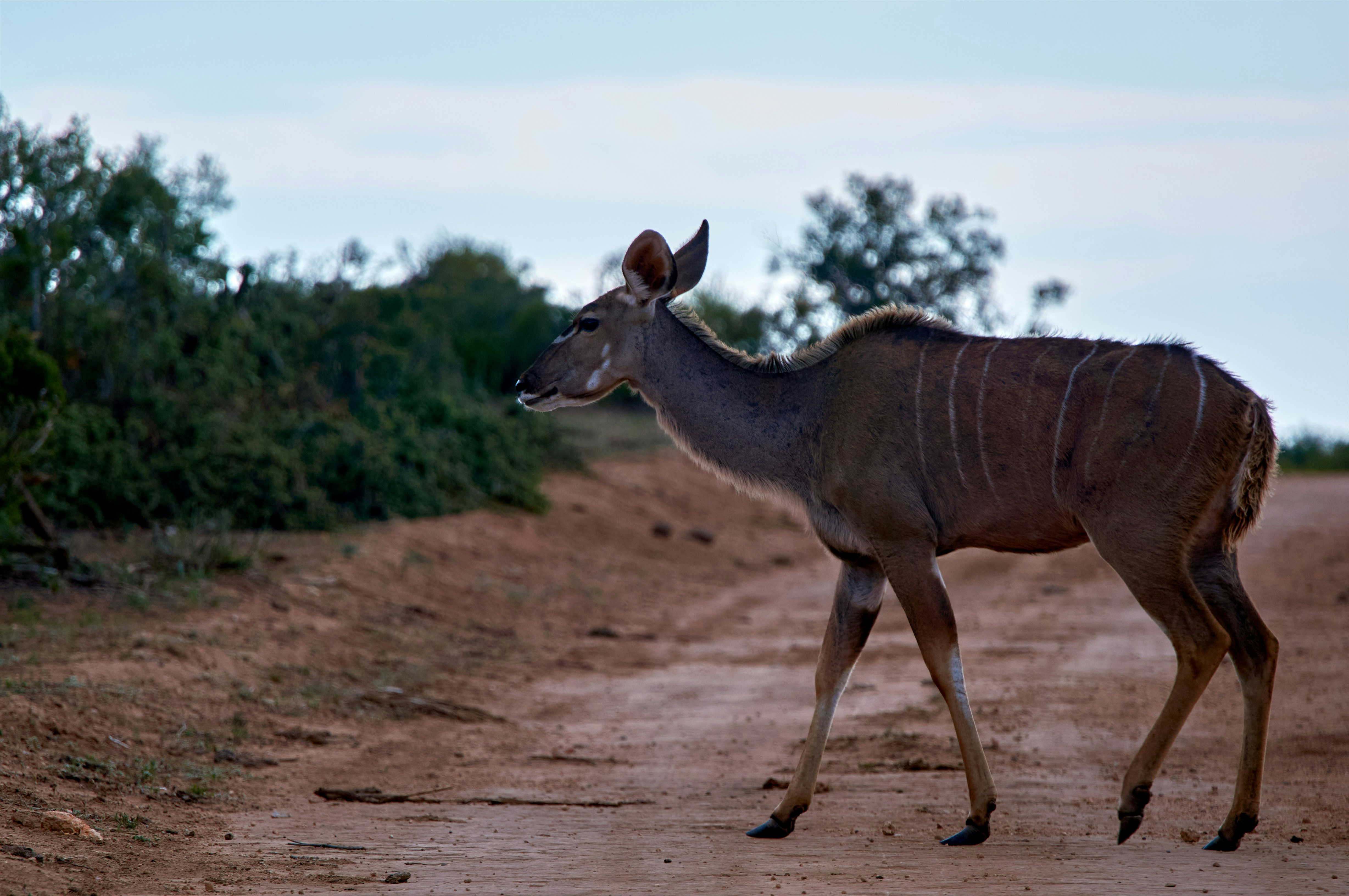 Photo by wolfgang_hasselmann