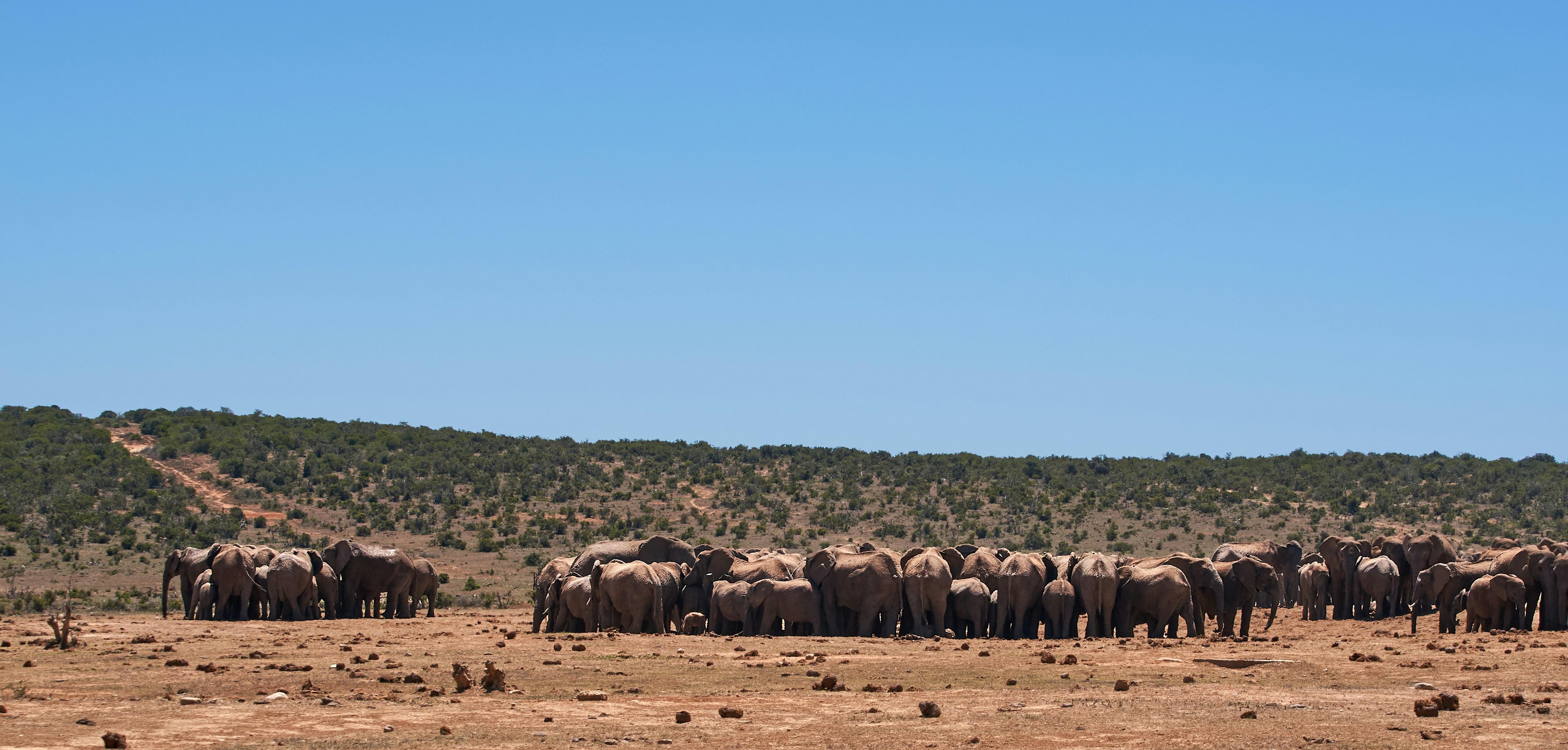 Photo by wolfgang_hasselmann