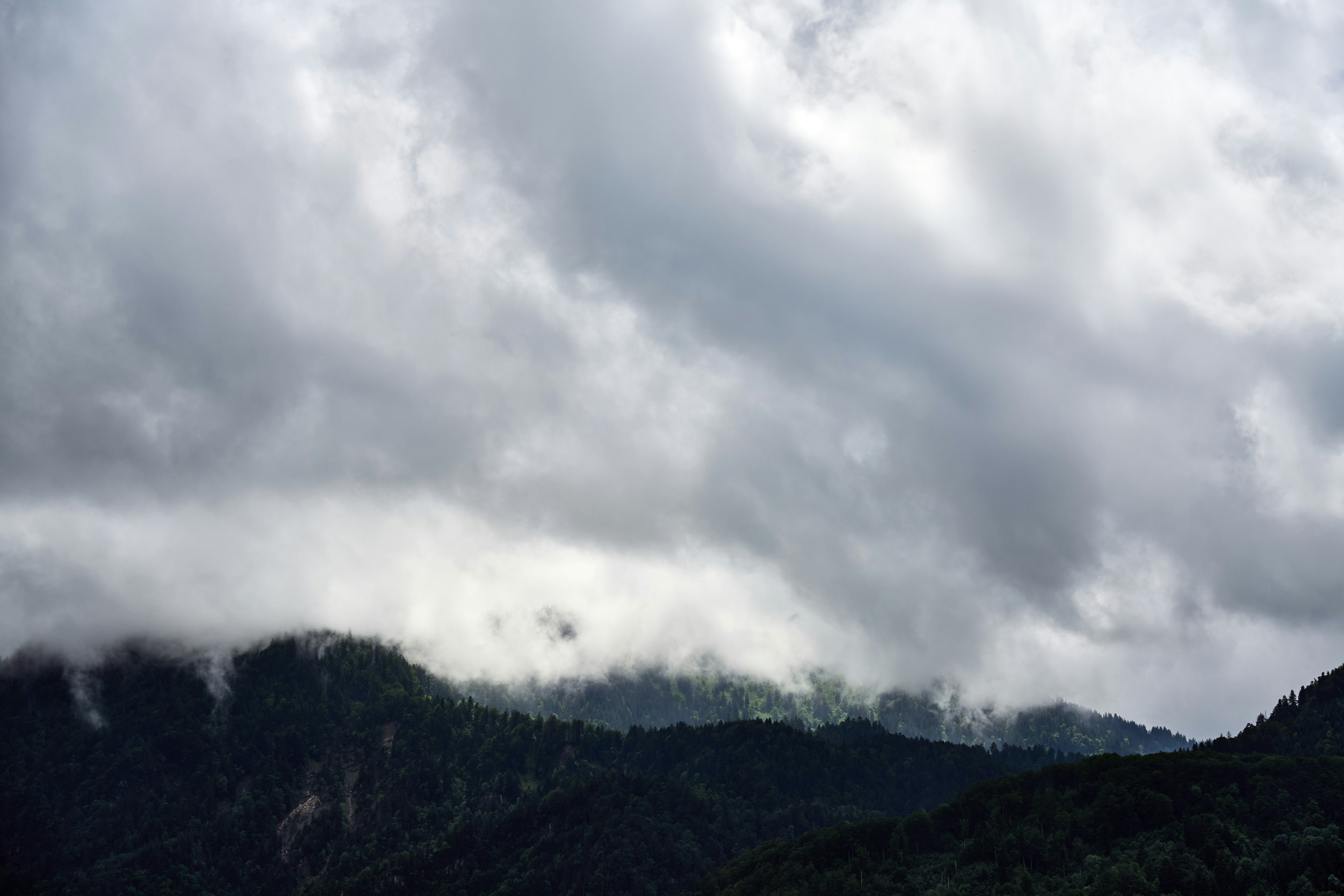 Photo by wolfgang_hasselmann