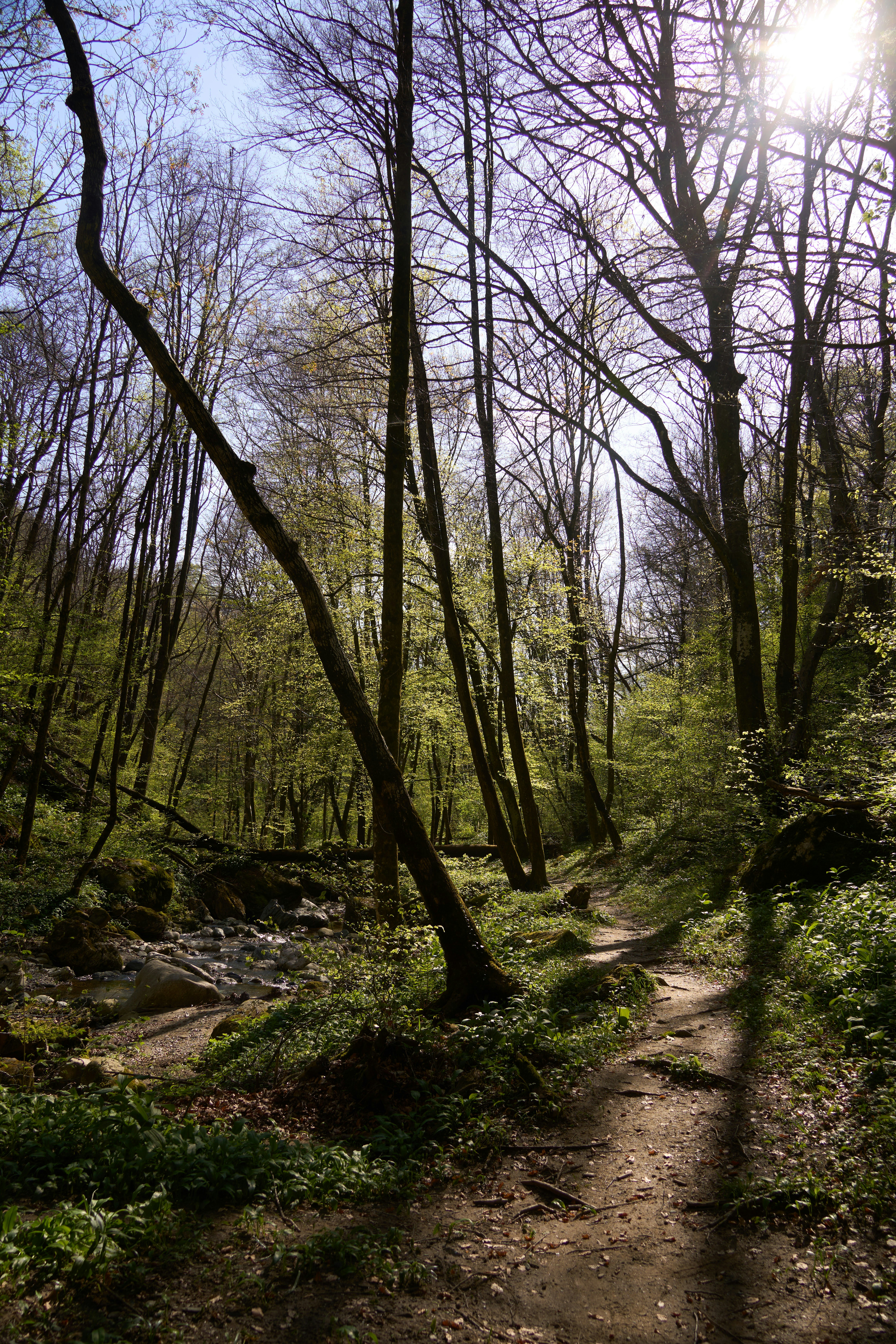 Photo by wolfgang_hasselmann