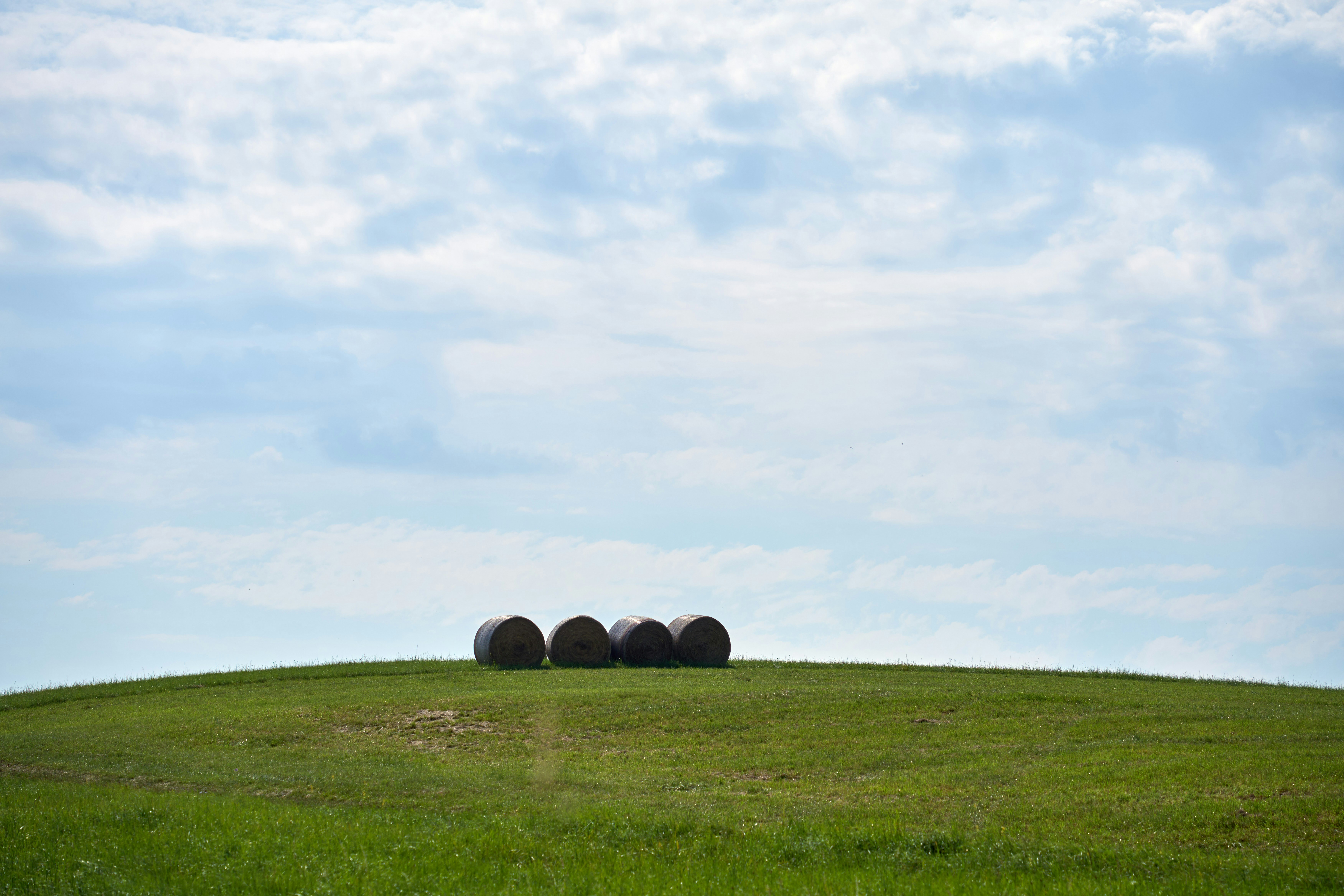 Photo by wolfgang_hasselmann