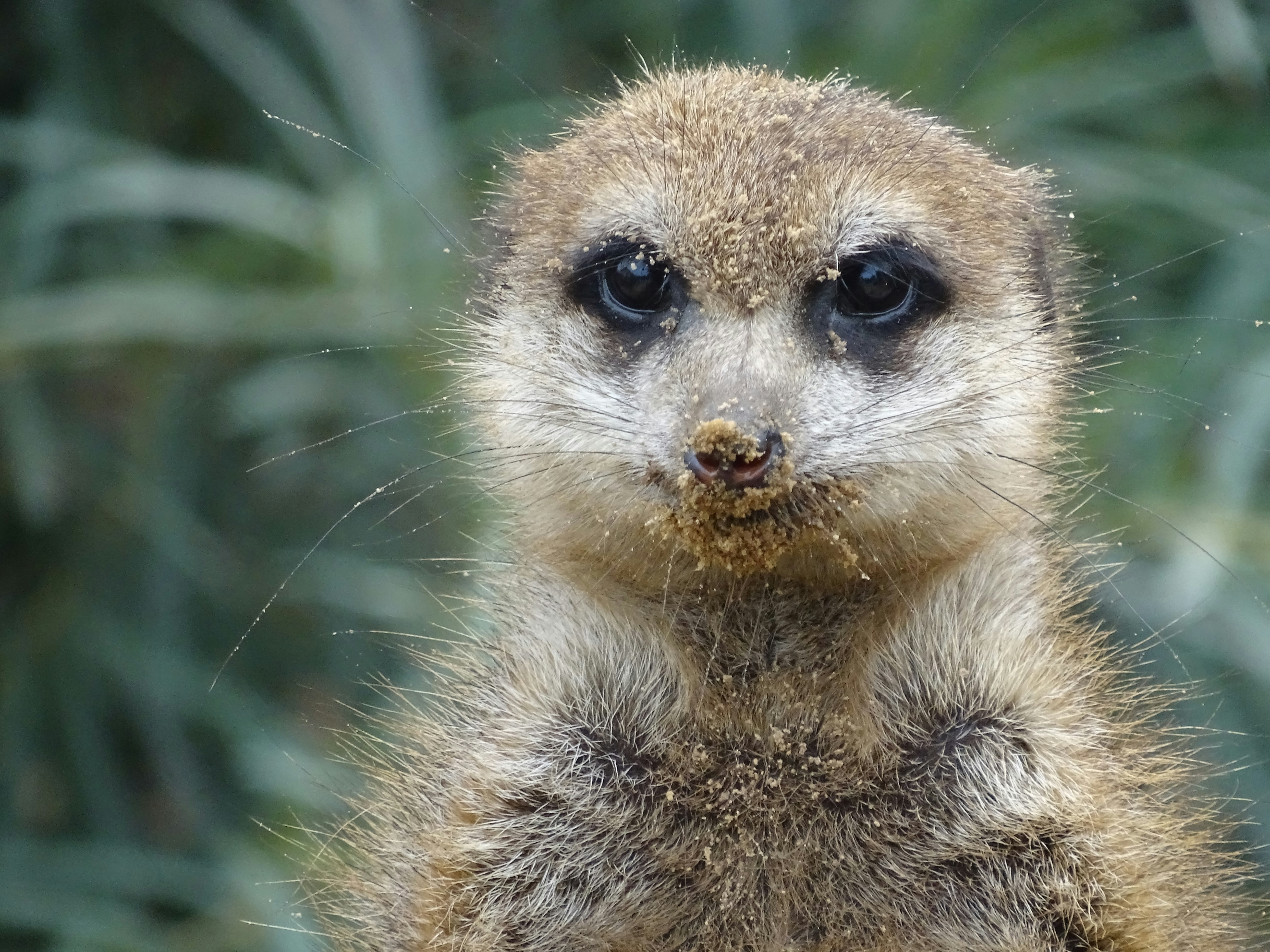 Photo by heracles1903