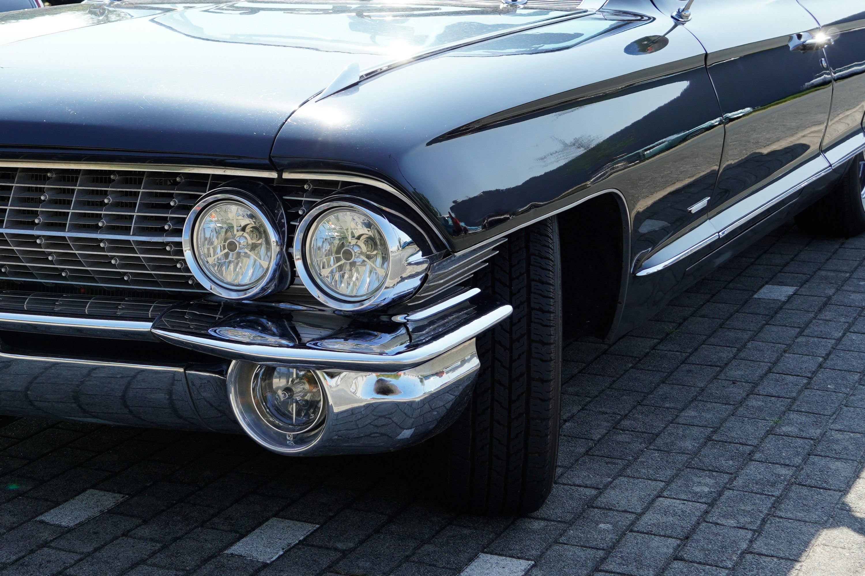 Photo by todorandonov