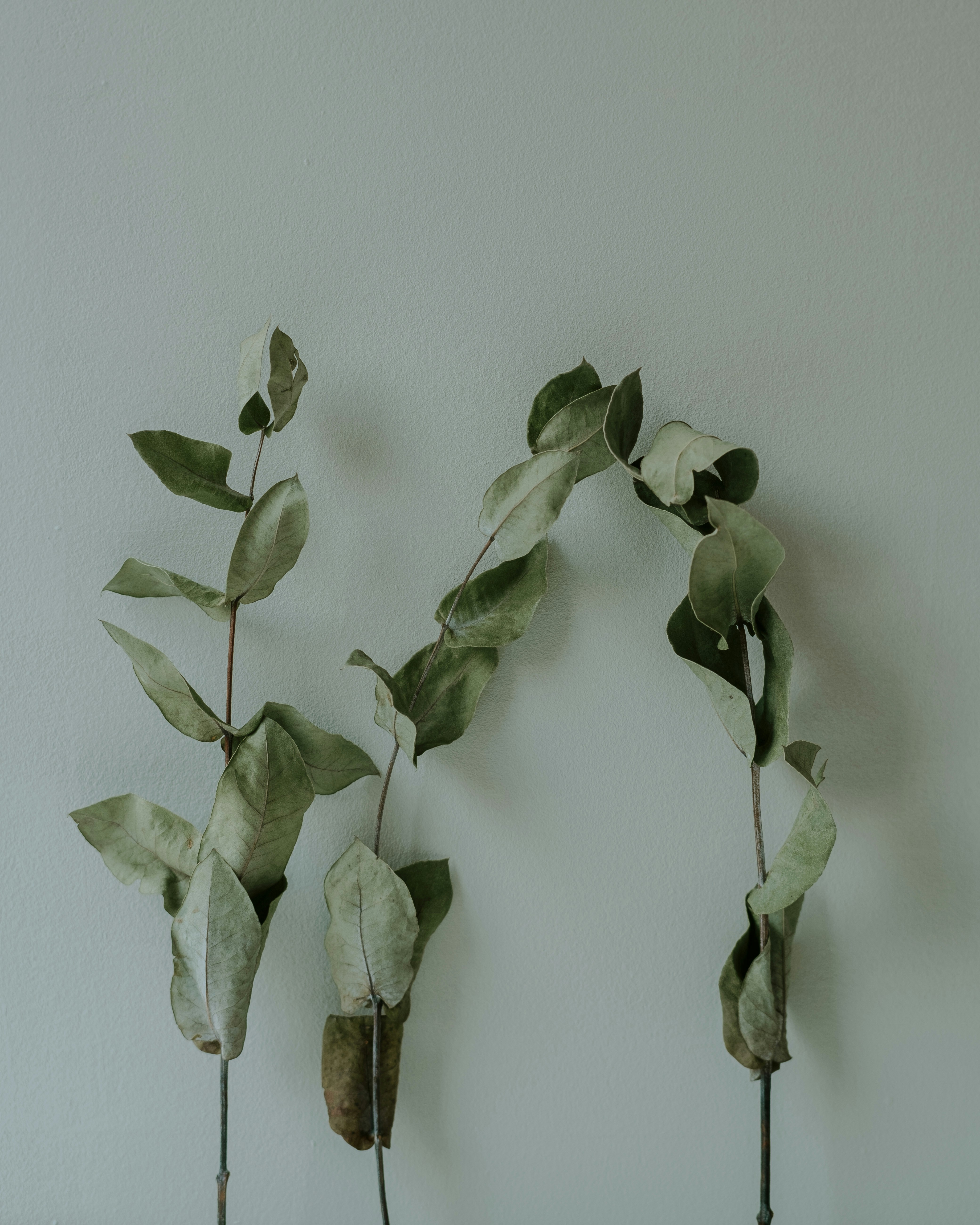 Photo by 360floralflaves