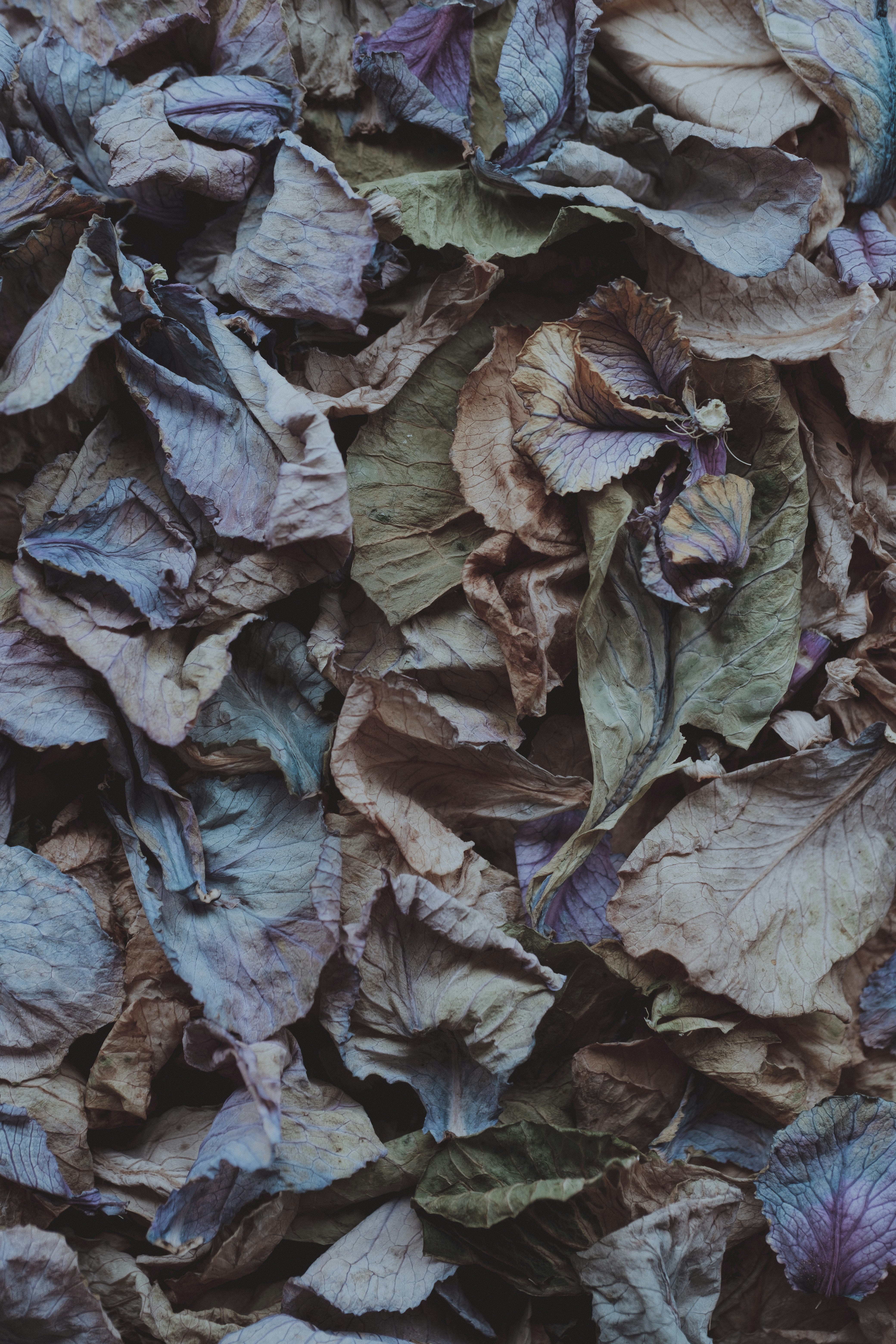 Photo by 360floralflaves