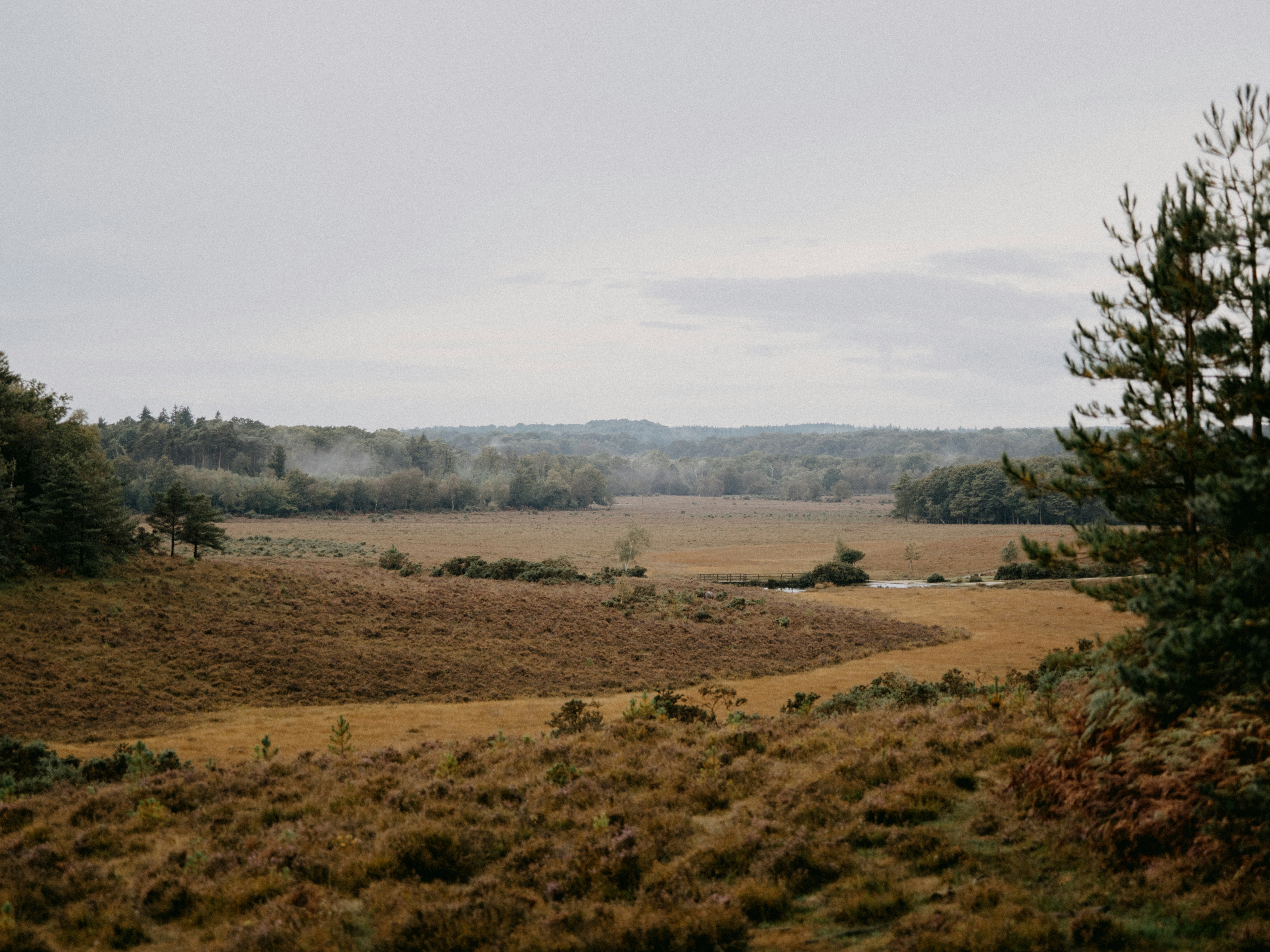 Photo by anniespratt