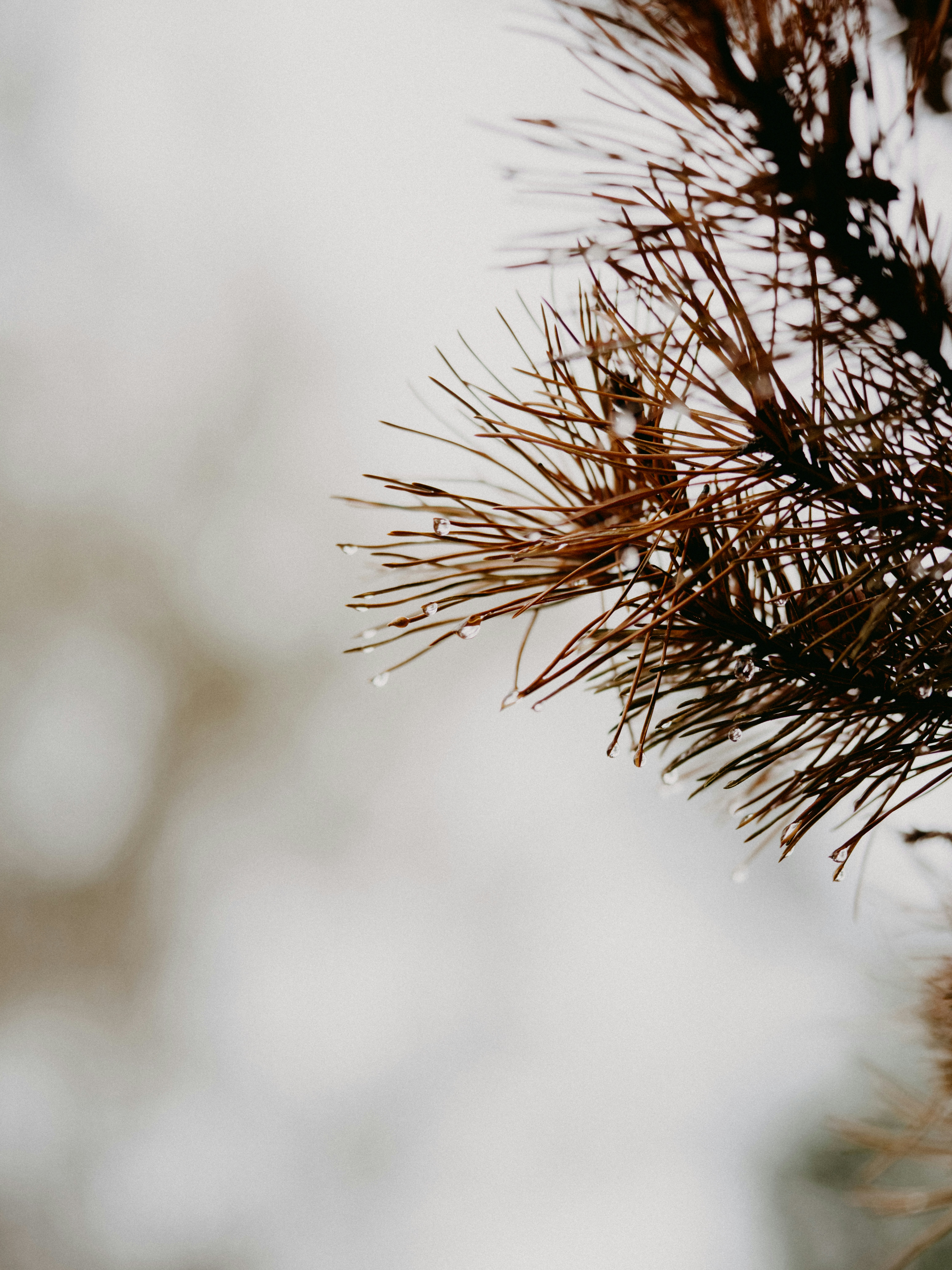 Photo by anniespratt