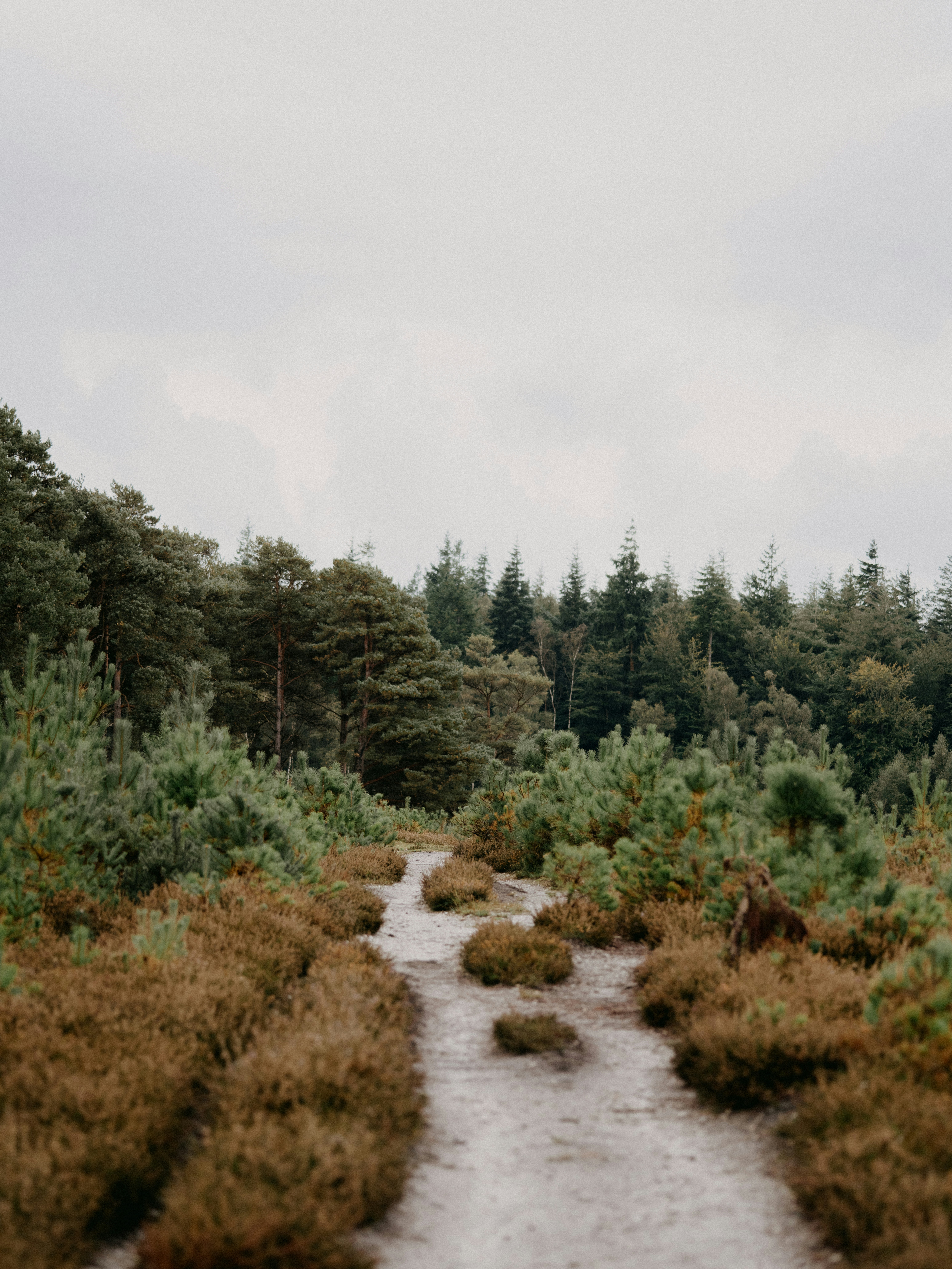 Photo by anniespratt