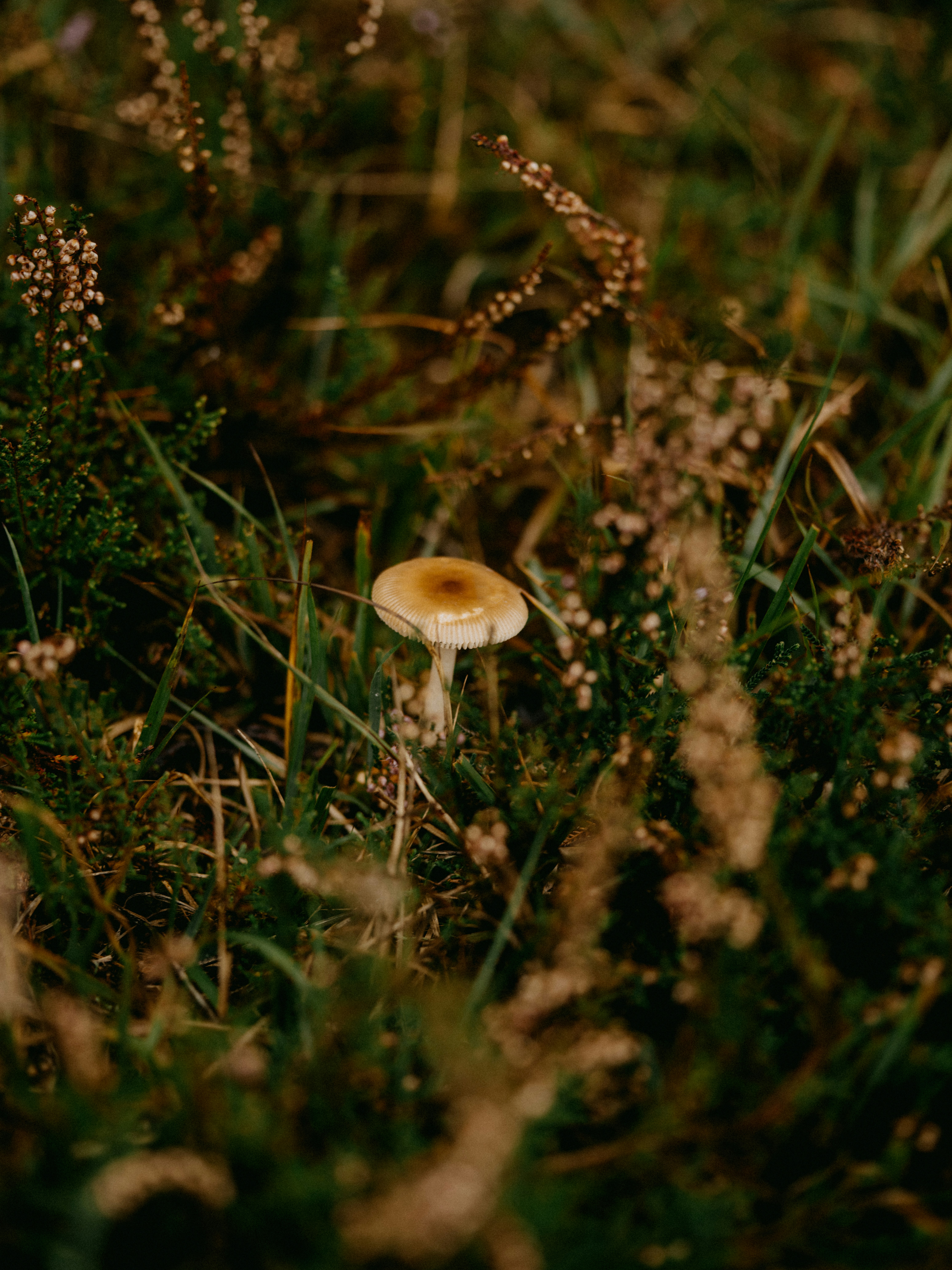 Photo by anniespratt