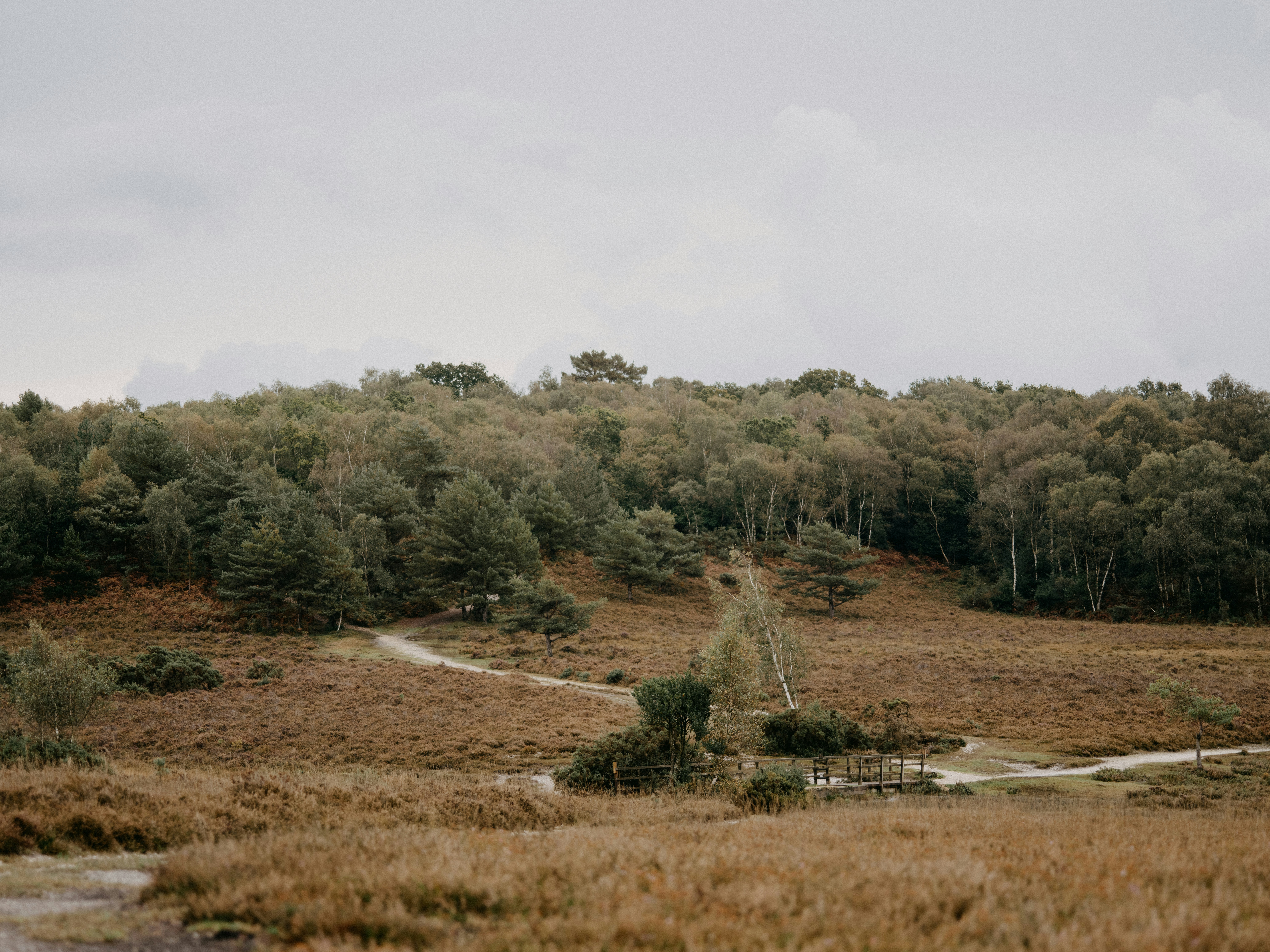 Photo by anniespratt