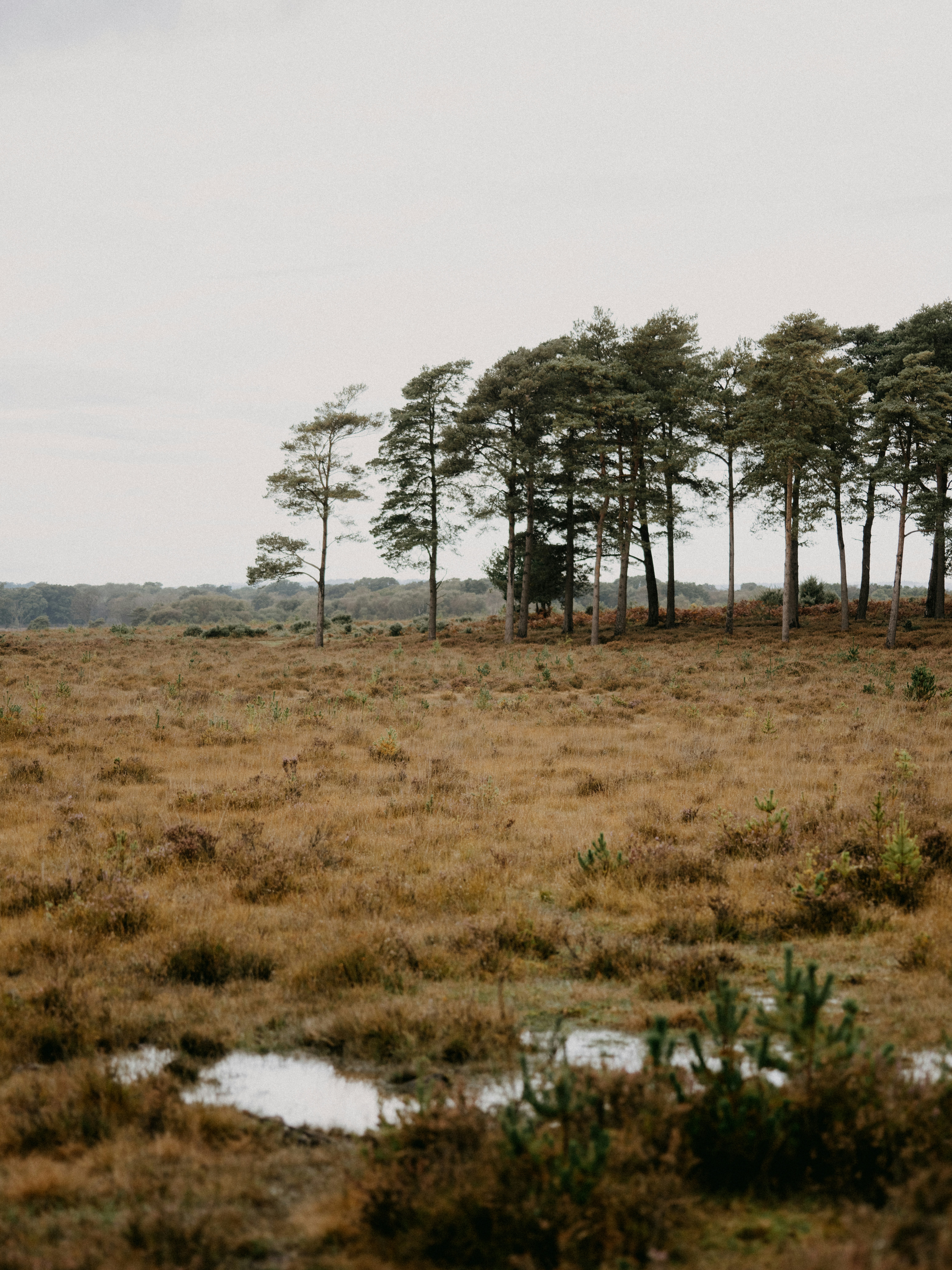 Photo by anniespratt