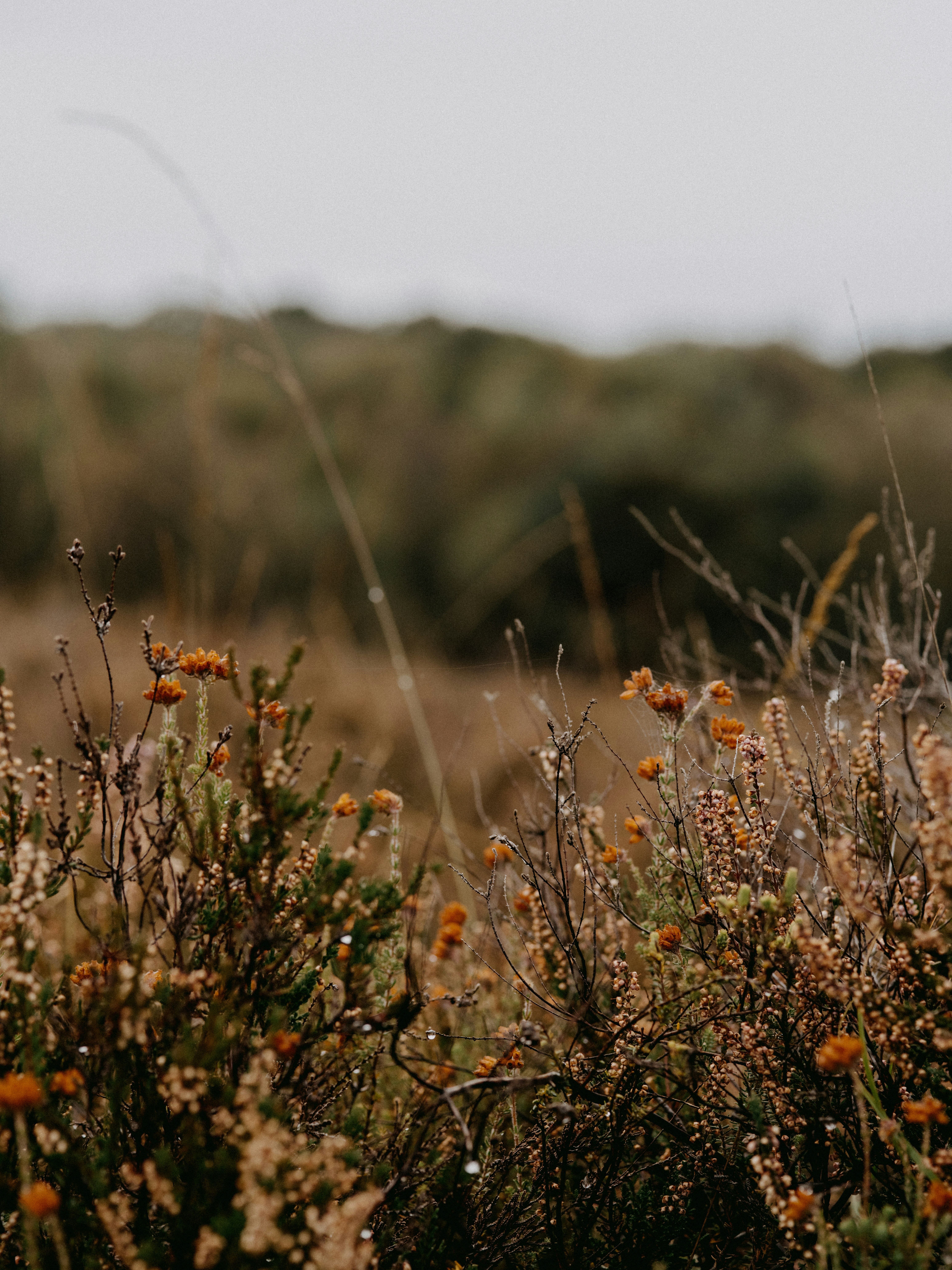 Photo by anniespratt