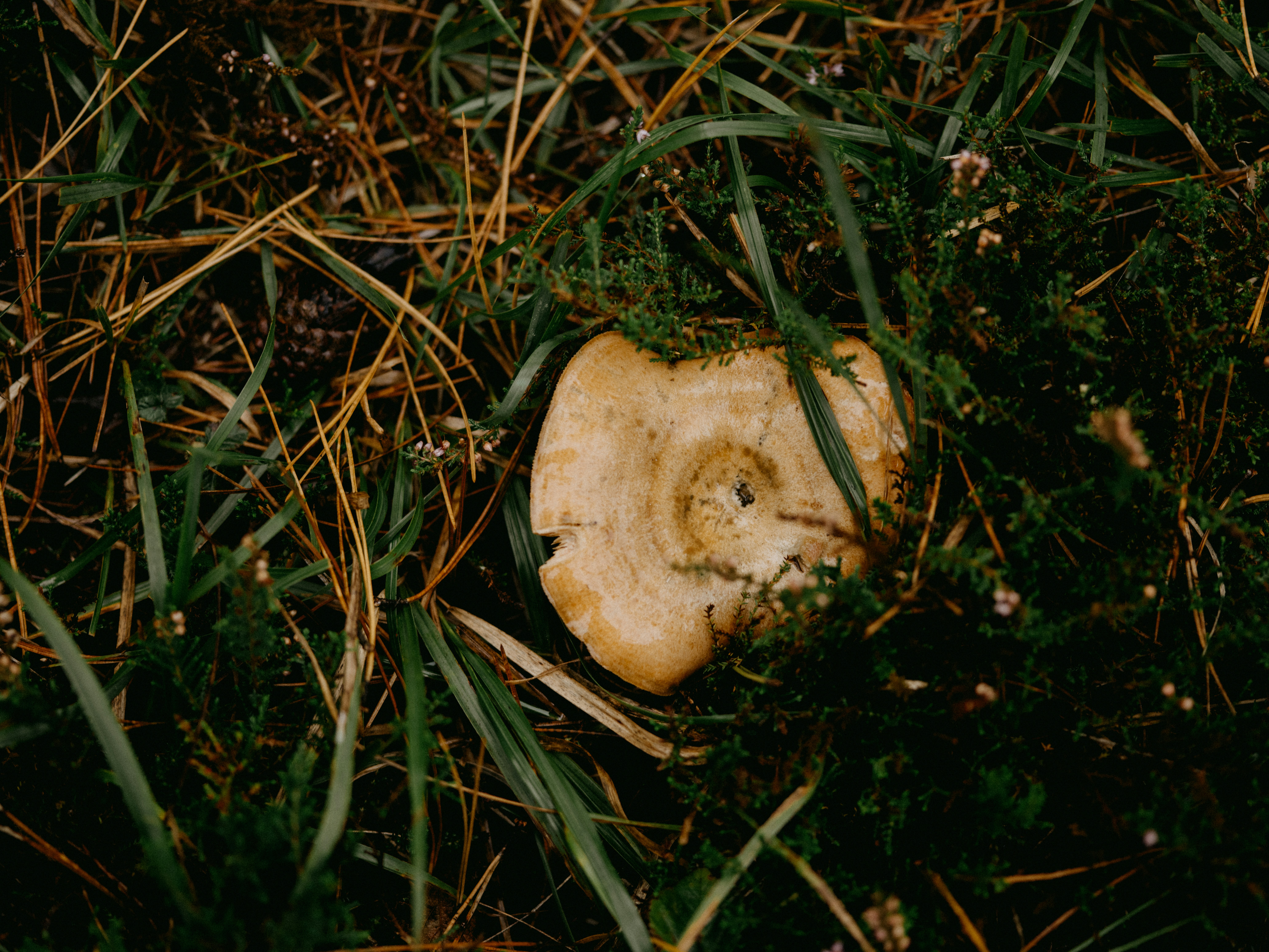 Photo by anniespratt