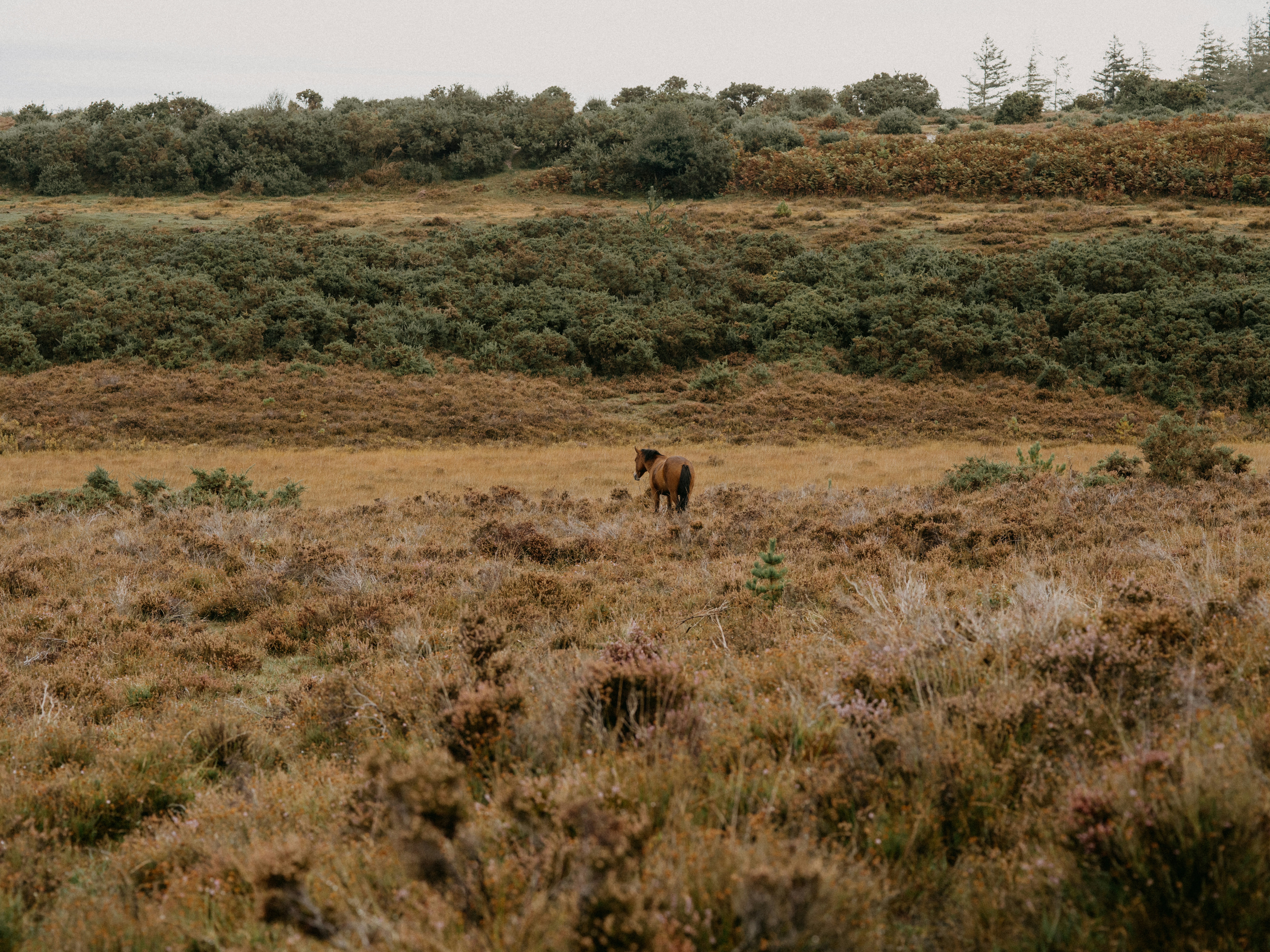 Photo by anniespratt