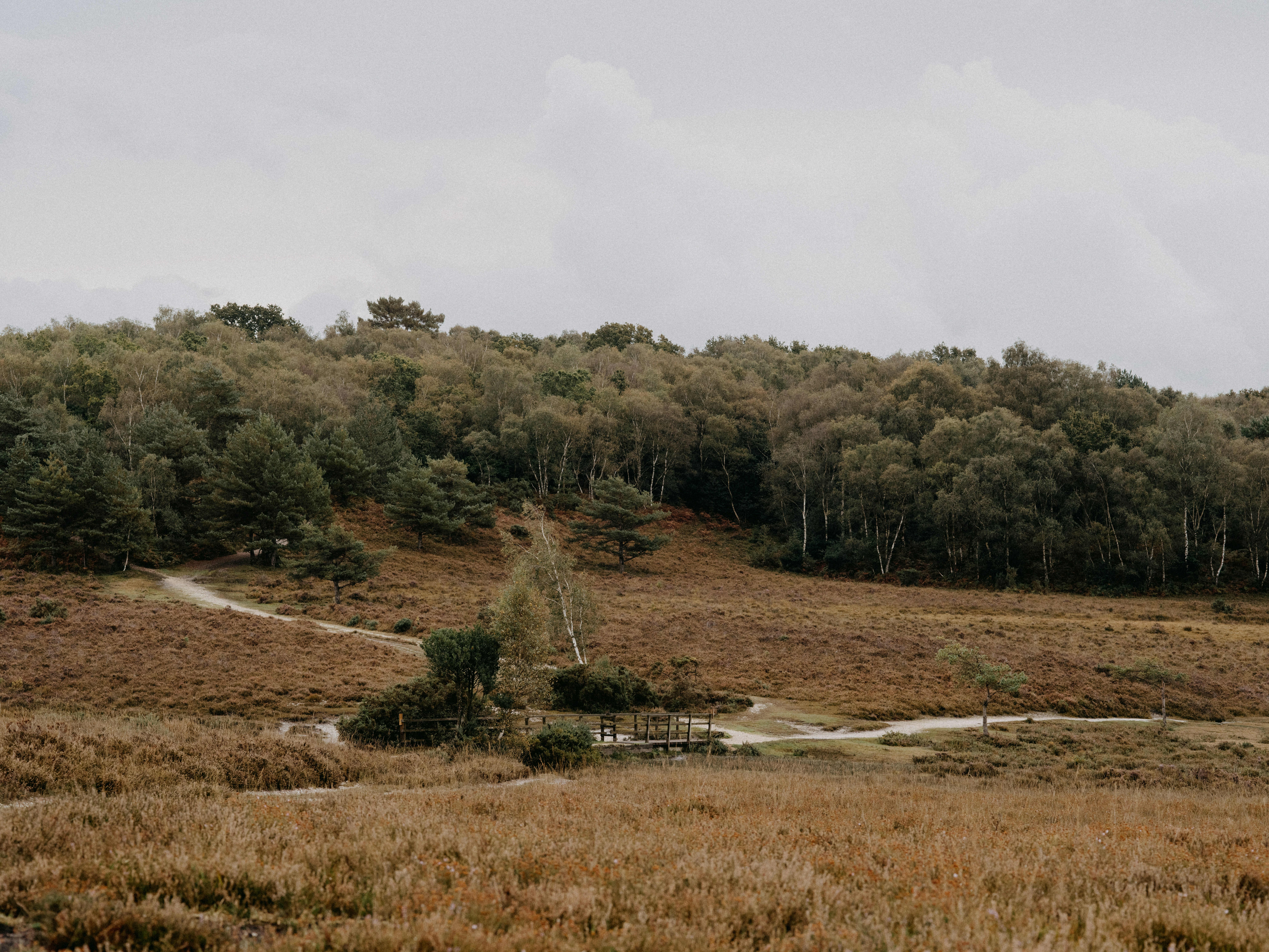 Photo by anniespratt