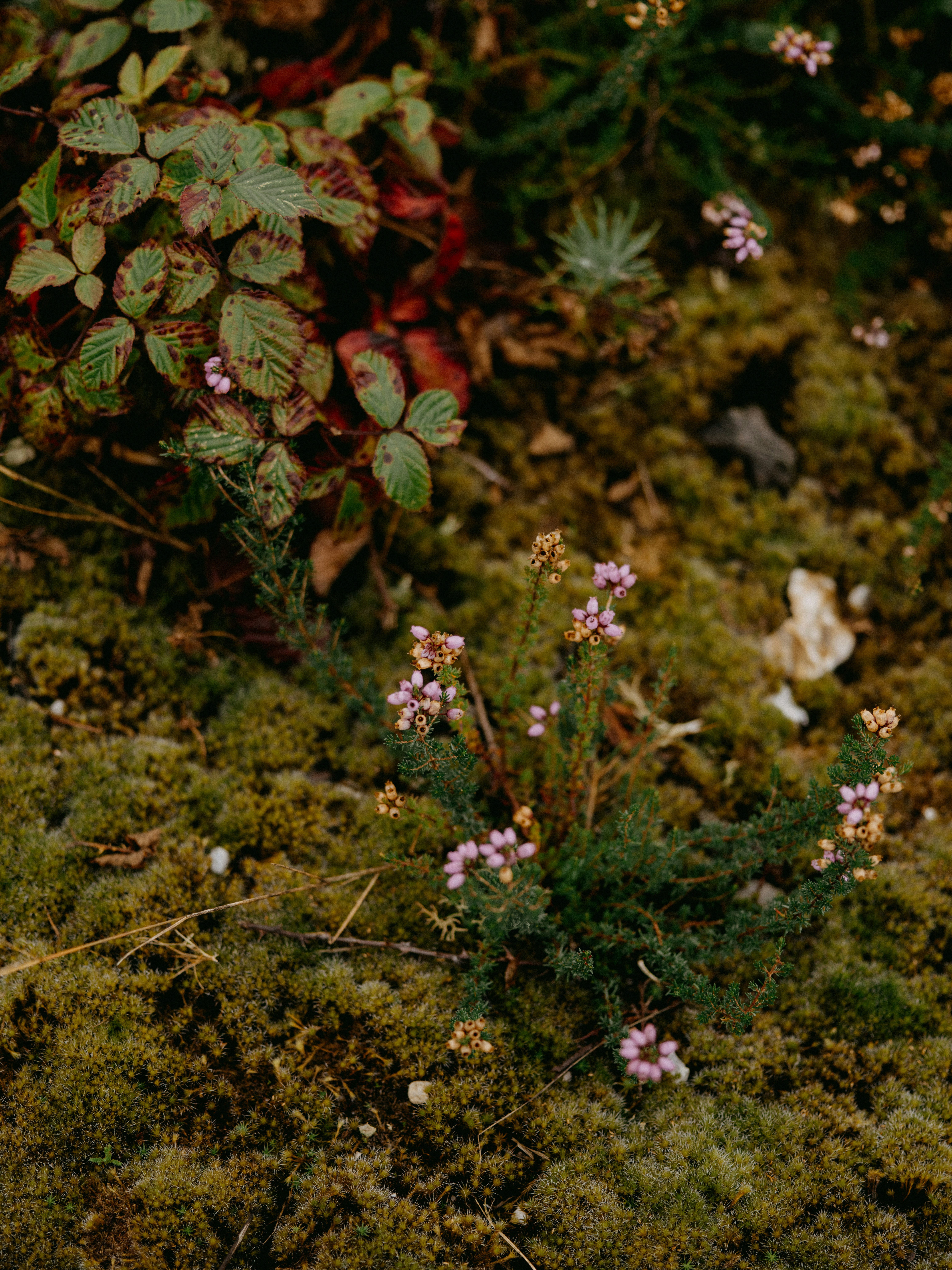 Photo by anniespratt