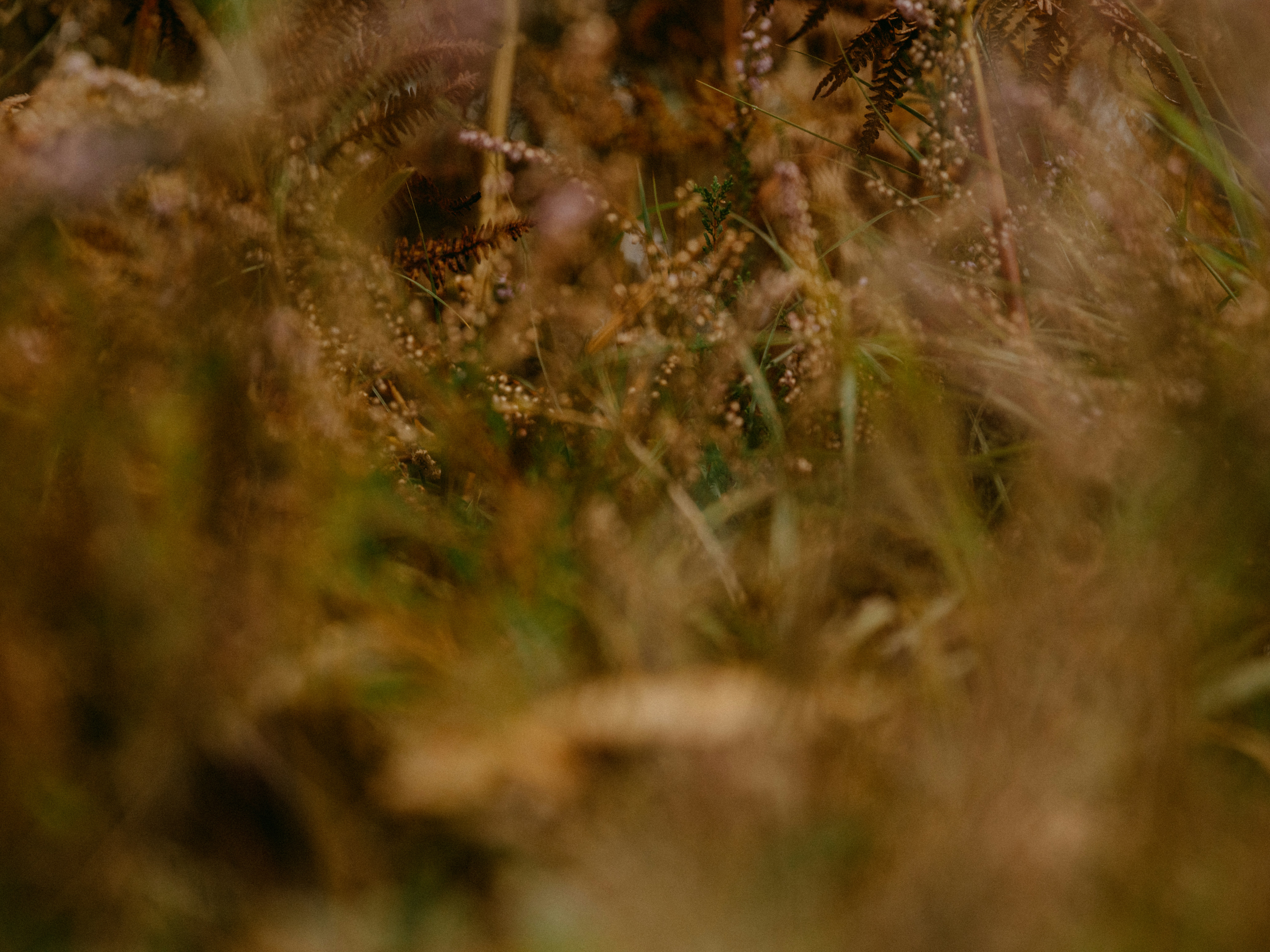 Photo by anniespratt