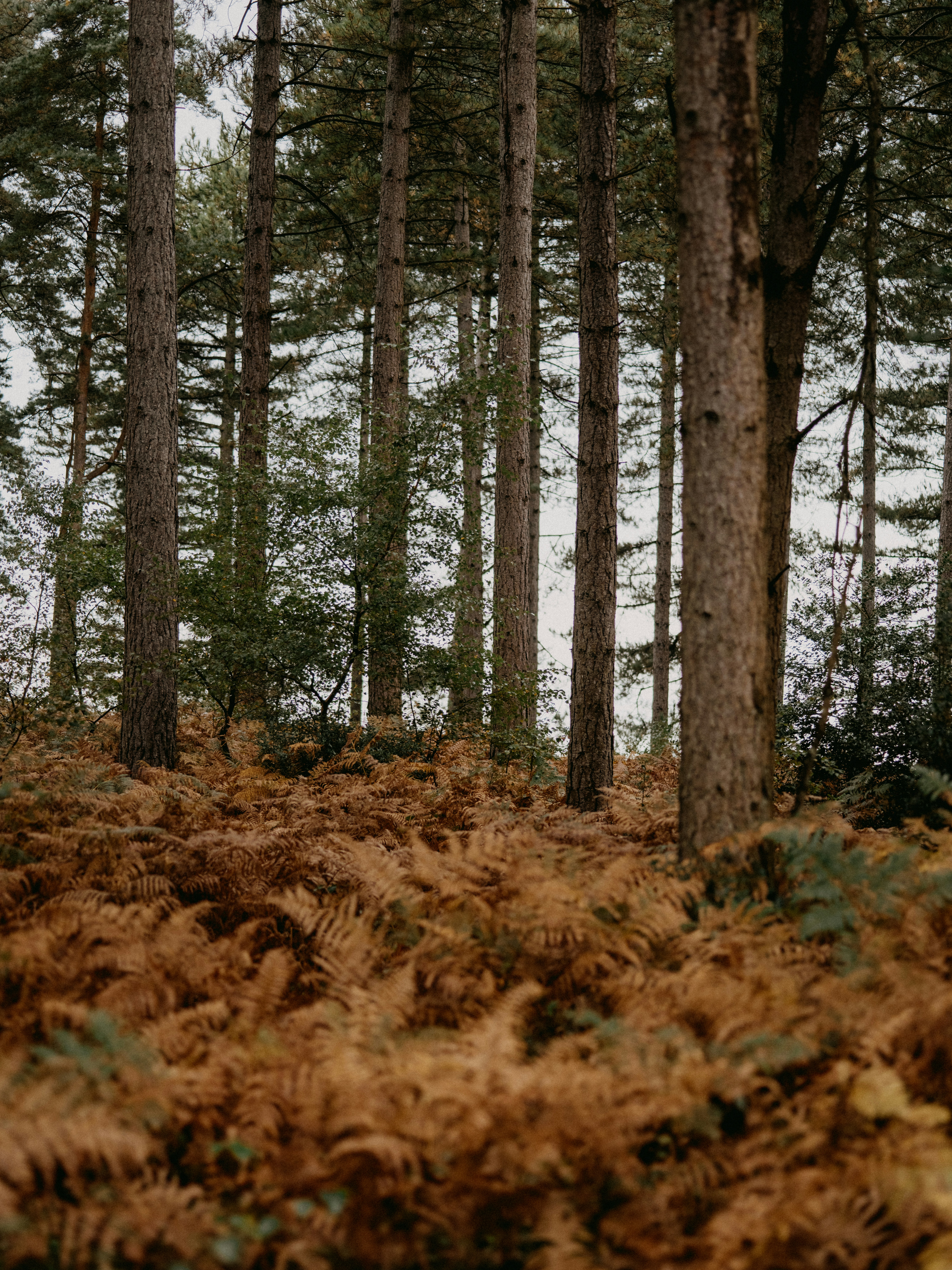 Photo by anniespratt