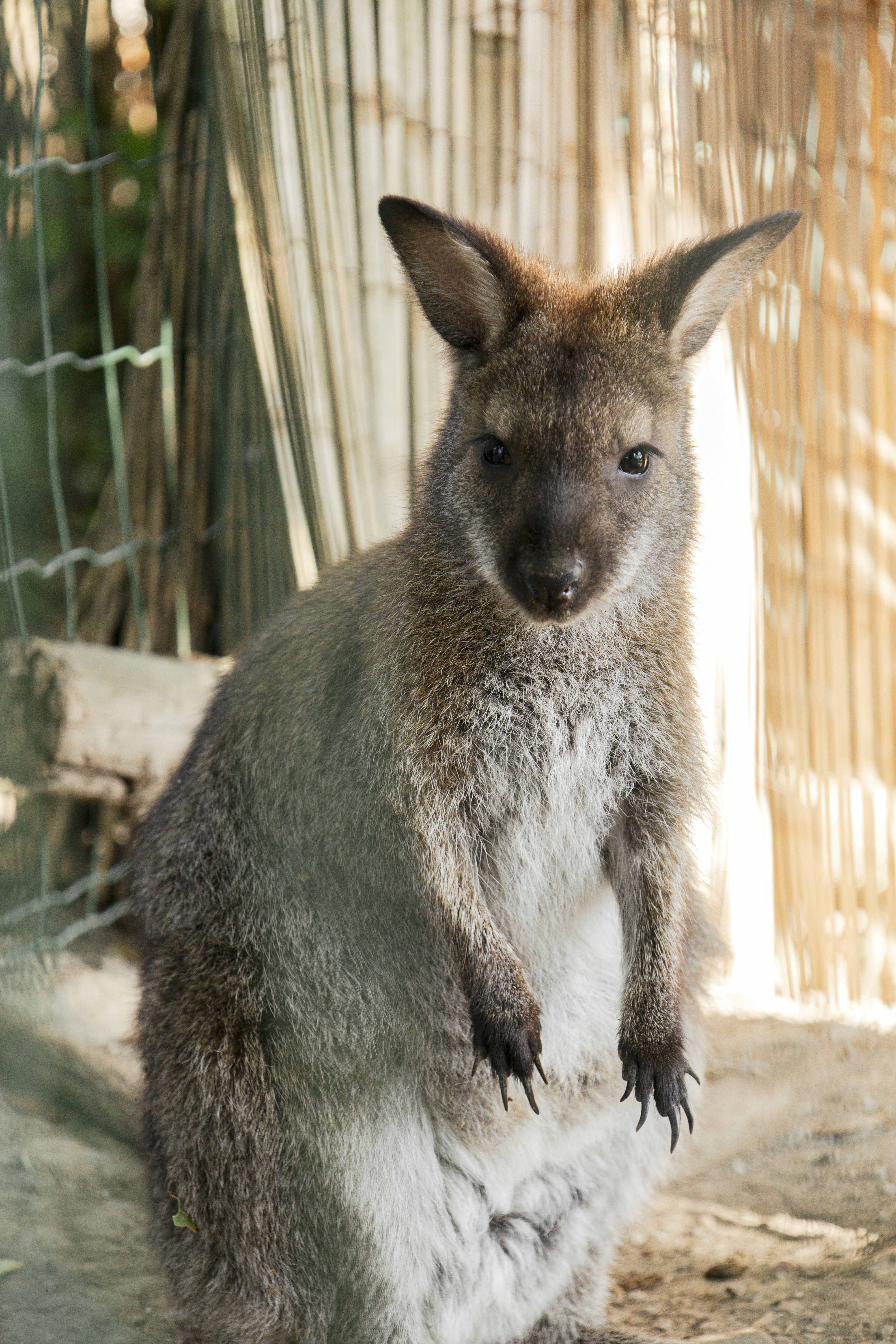 Photo by anna_c_wilhelm