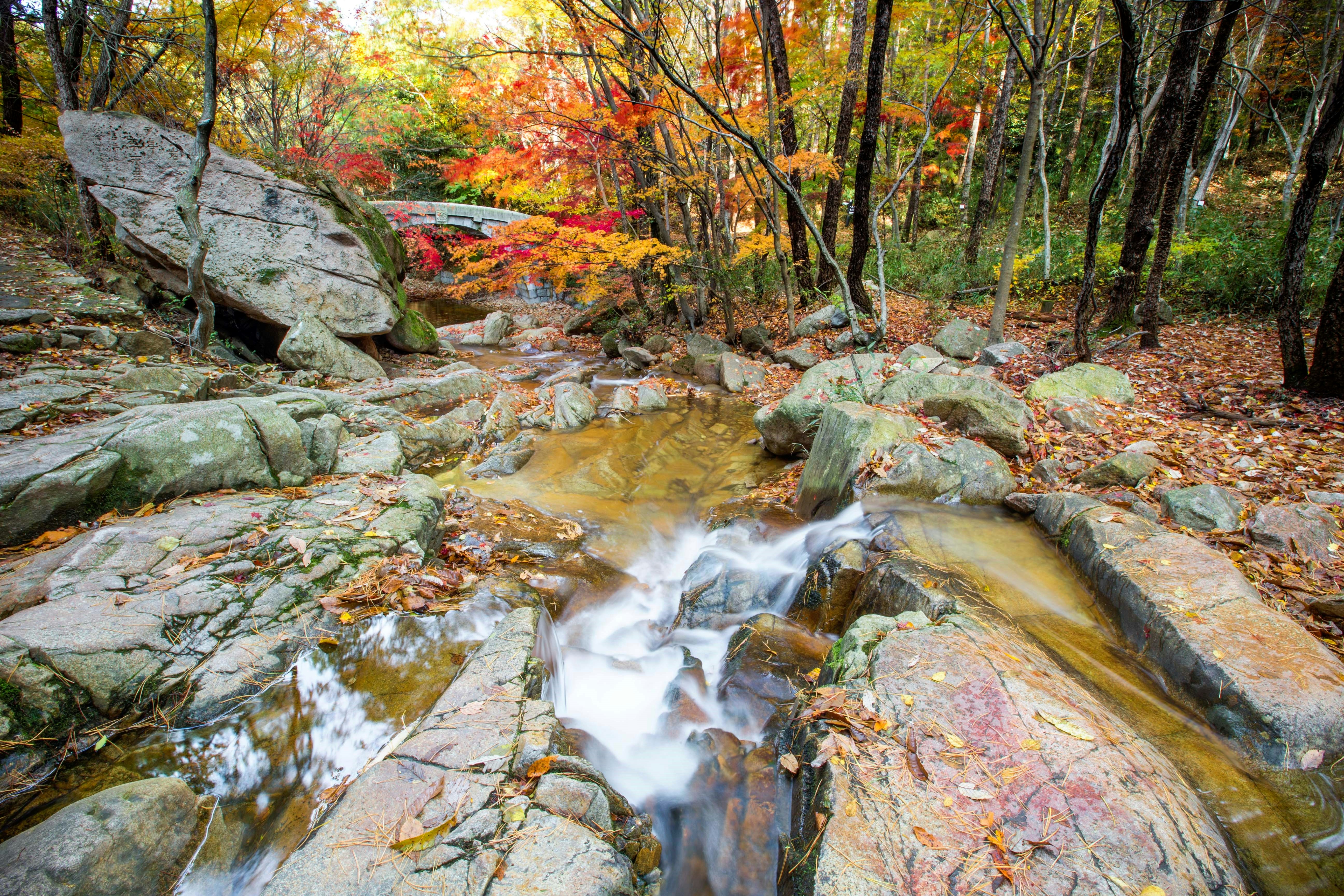 Photo by martinbennie