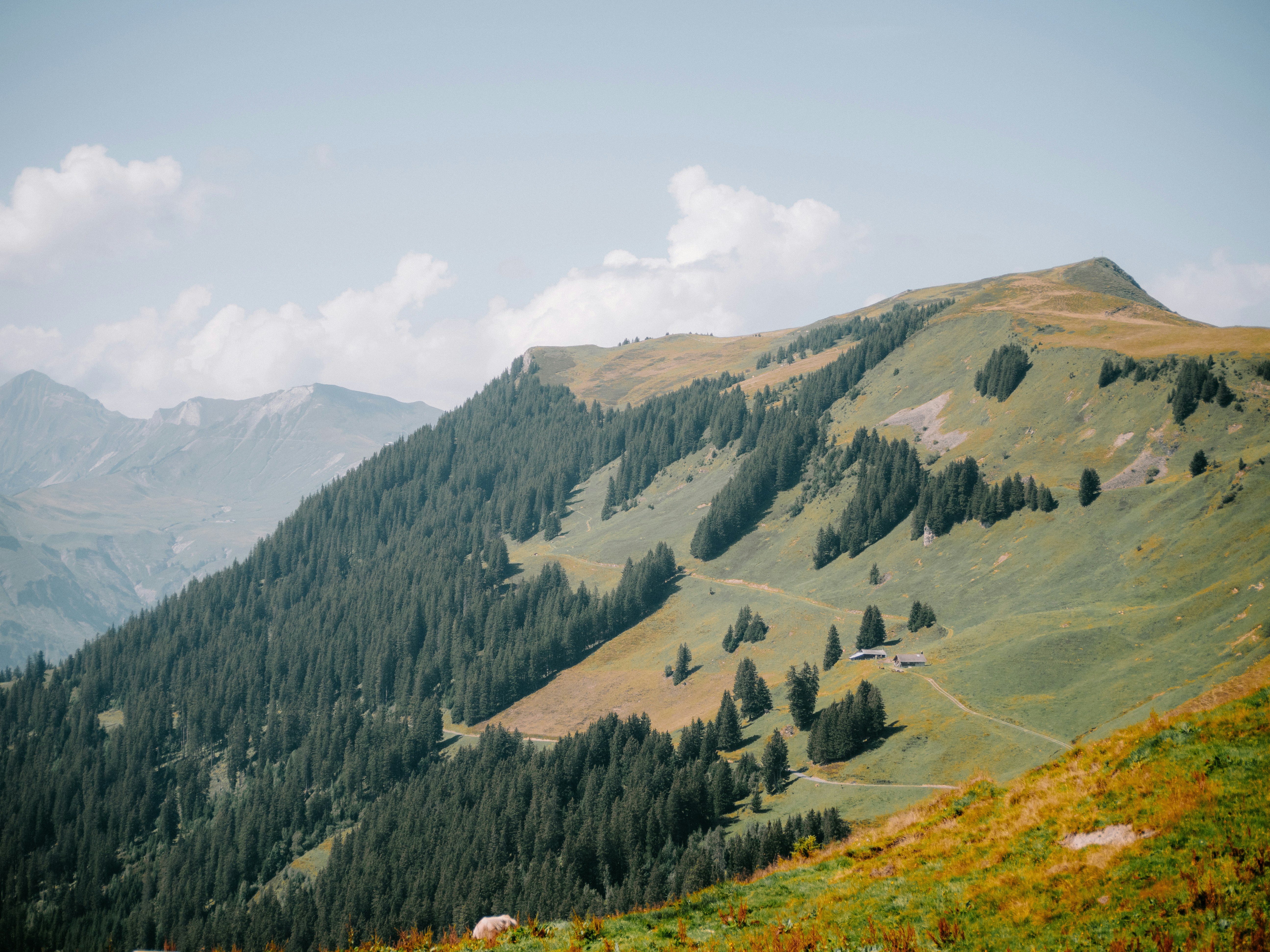 Photo by bengrayland