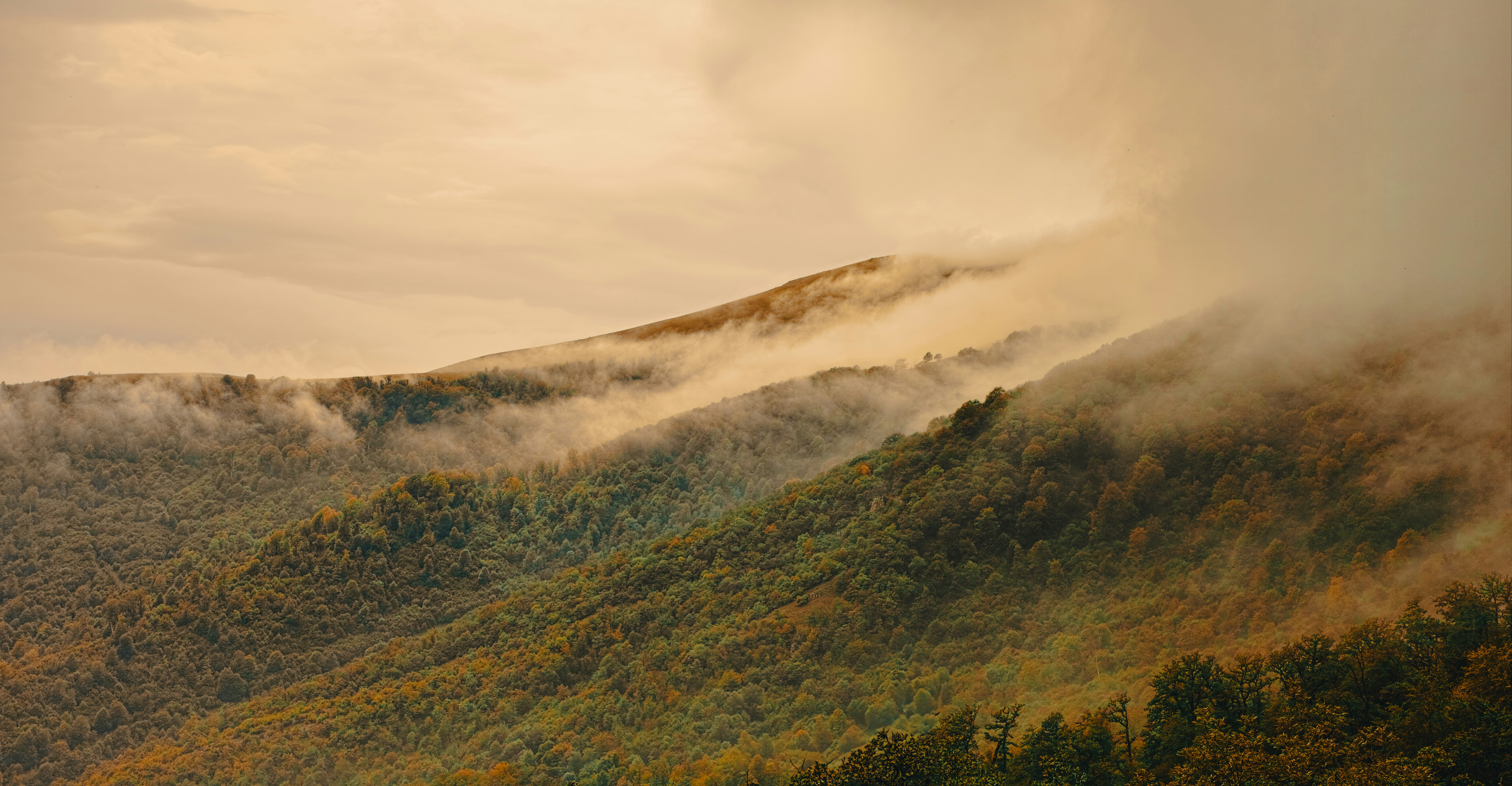 Photo by dmitriy_galanov