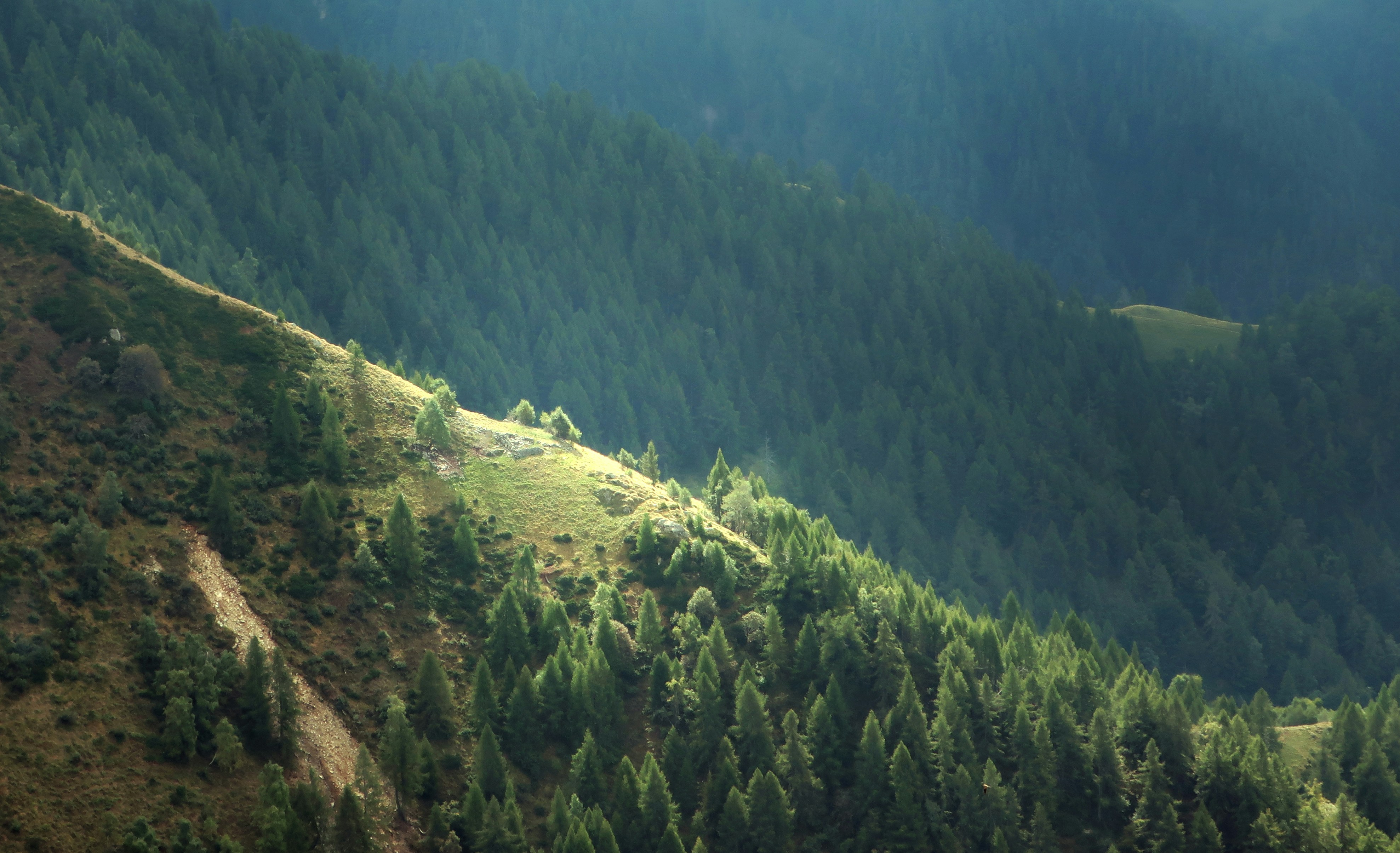 An aerial view of a mountain range with trees
