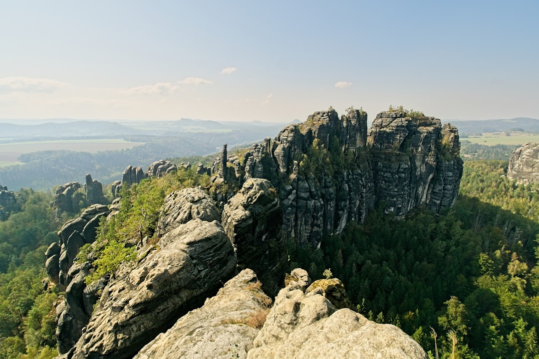 A rocky outcropping with trees and mountains in the background,