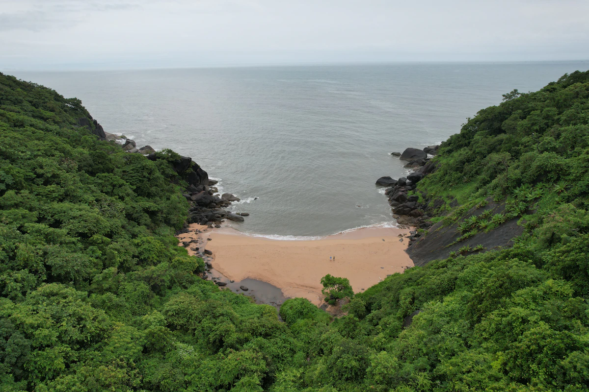 Aerial view of Butterfly Beach, Goa coastline