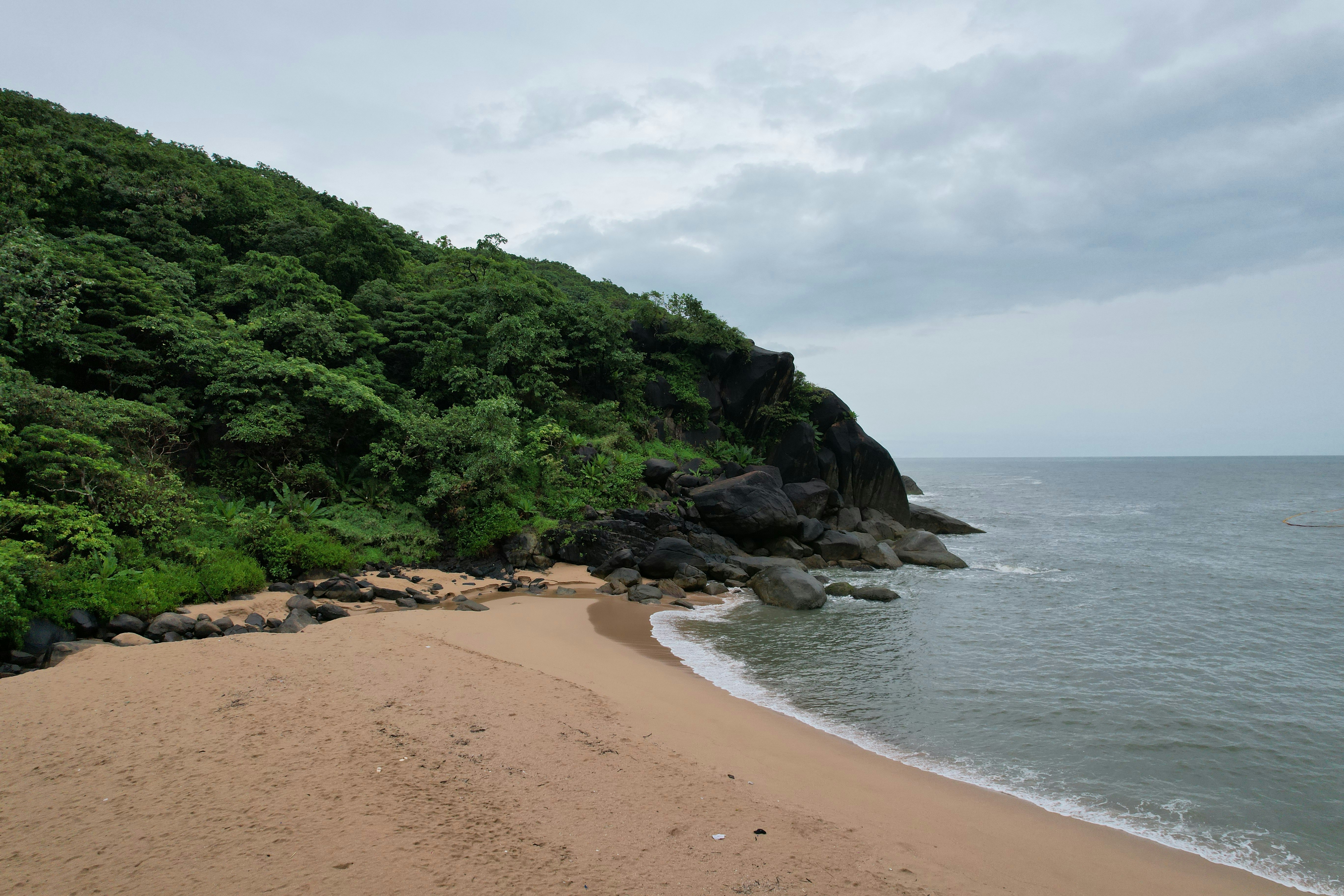 Photo by zoshuacolah