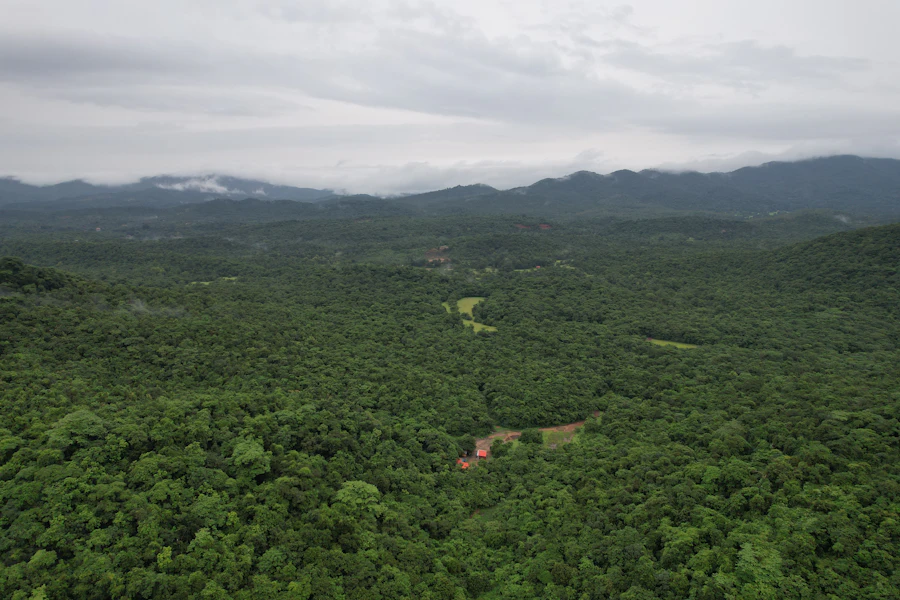 deforestation-free: TRW & Co, Dhaka