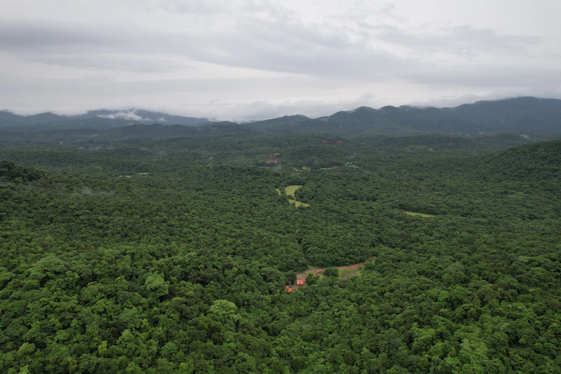 Deforestation-Free Commodity Supply-Chain Due Diligence for Bangladesh: deforestation-free with TRW & Co