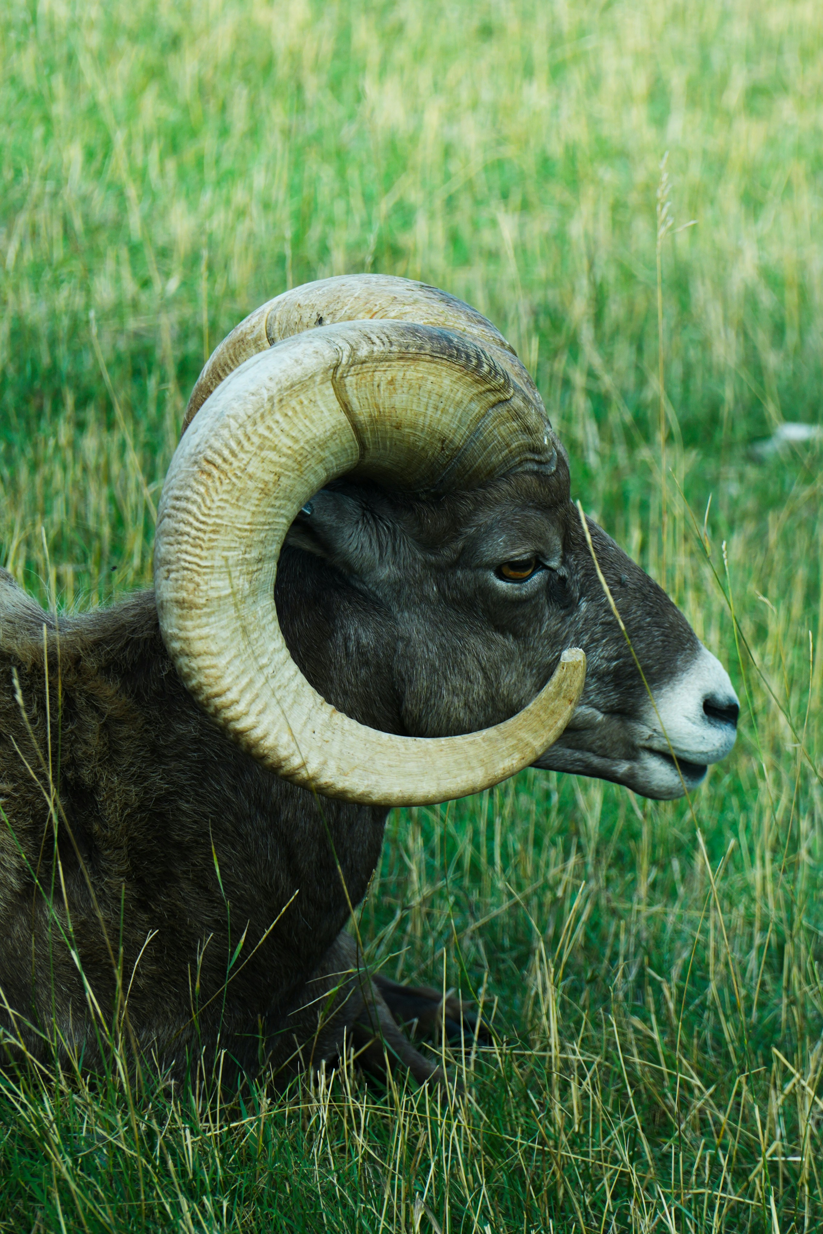 Photo by wanderworks