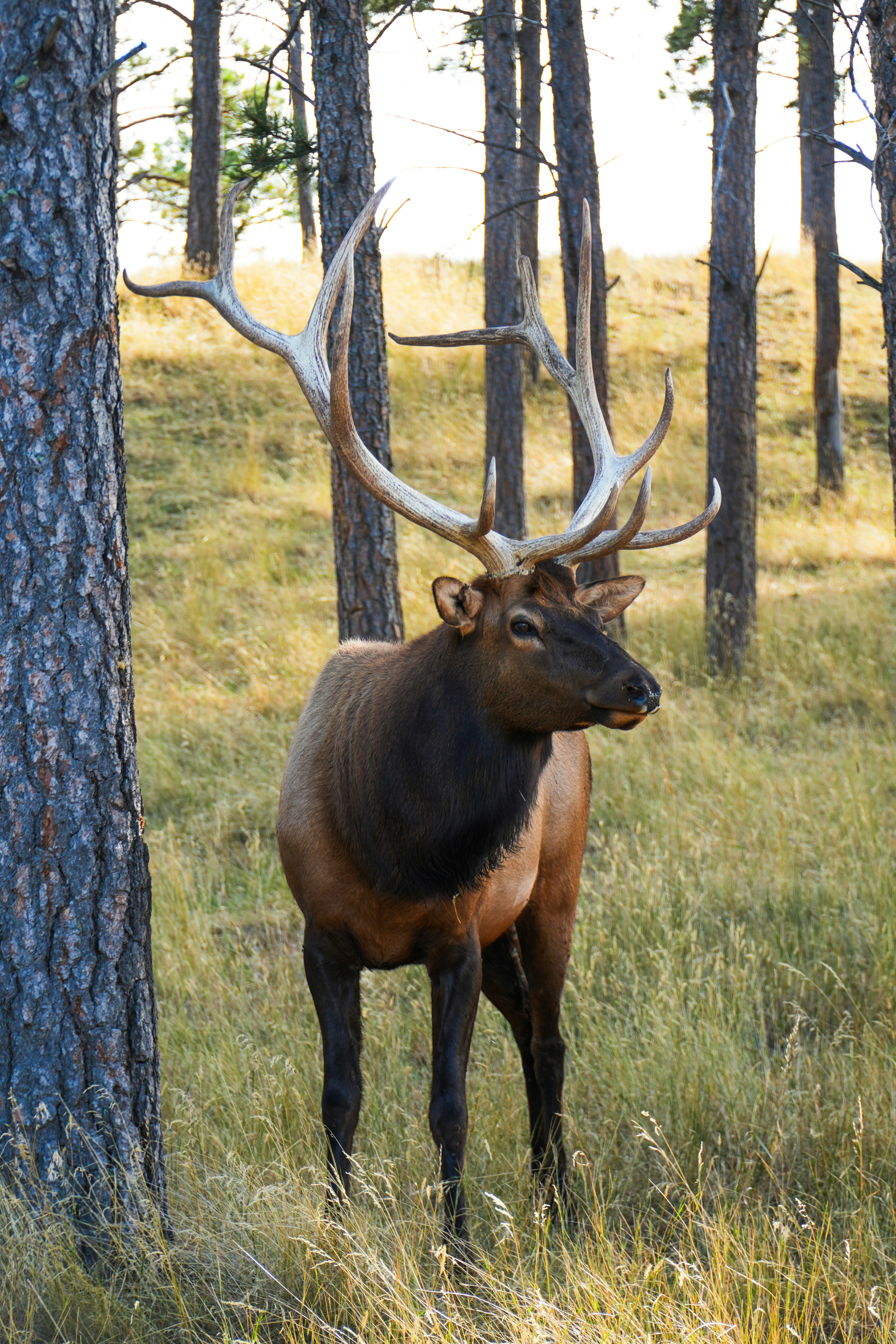 Photo by wanderworks