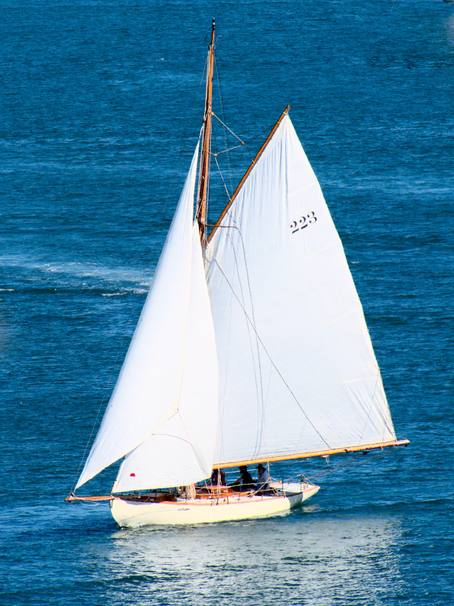 Sailboat under full sail on open water