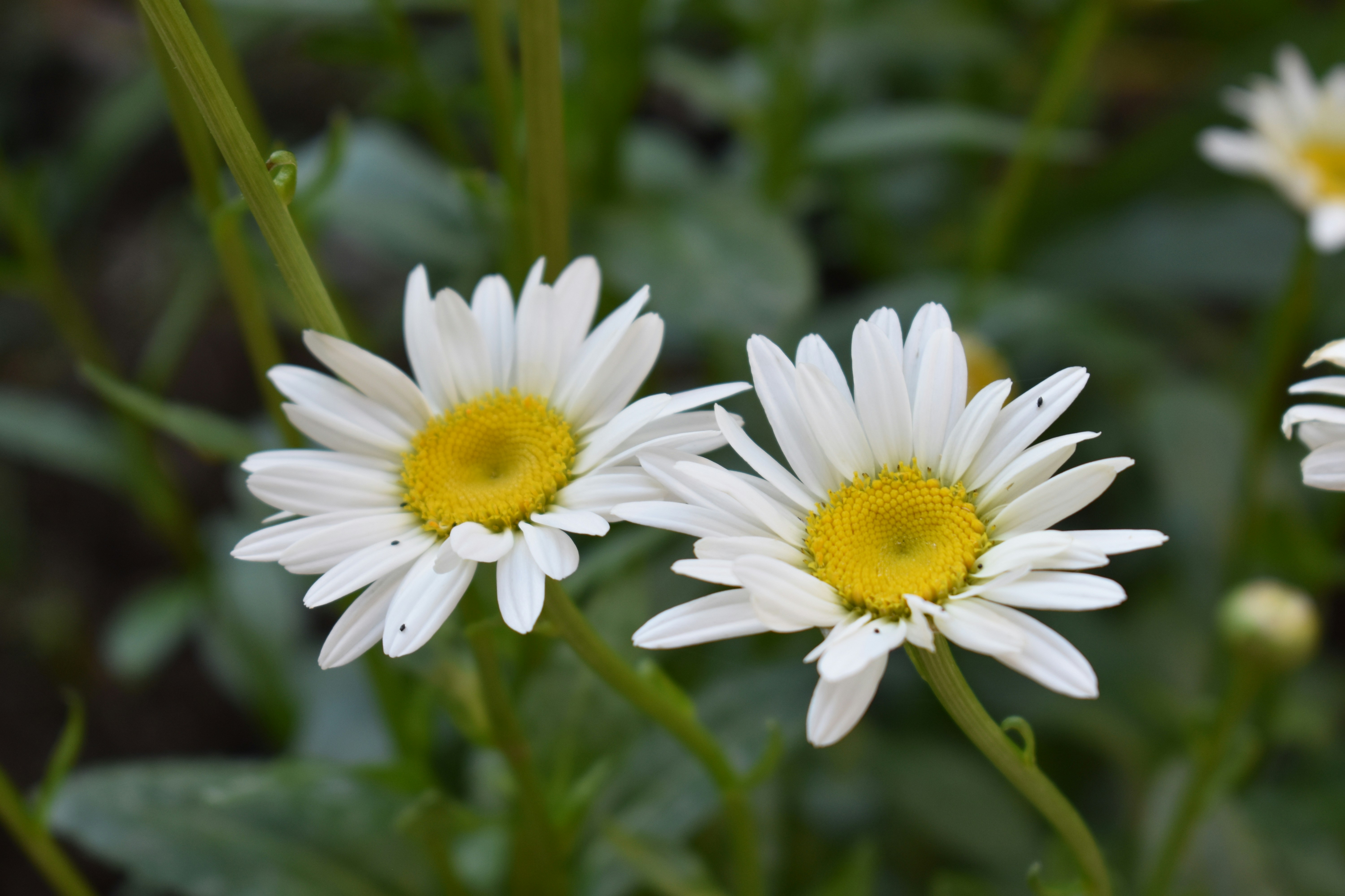 Photo by annechkaacreateee