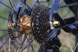 A close up of a bike's rear wheel