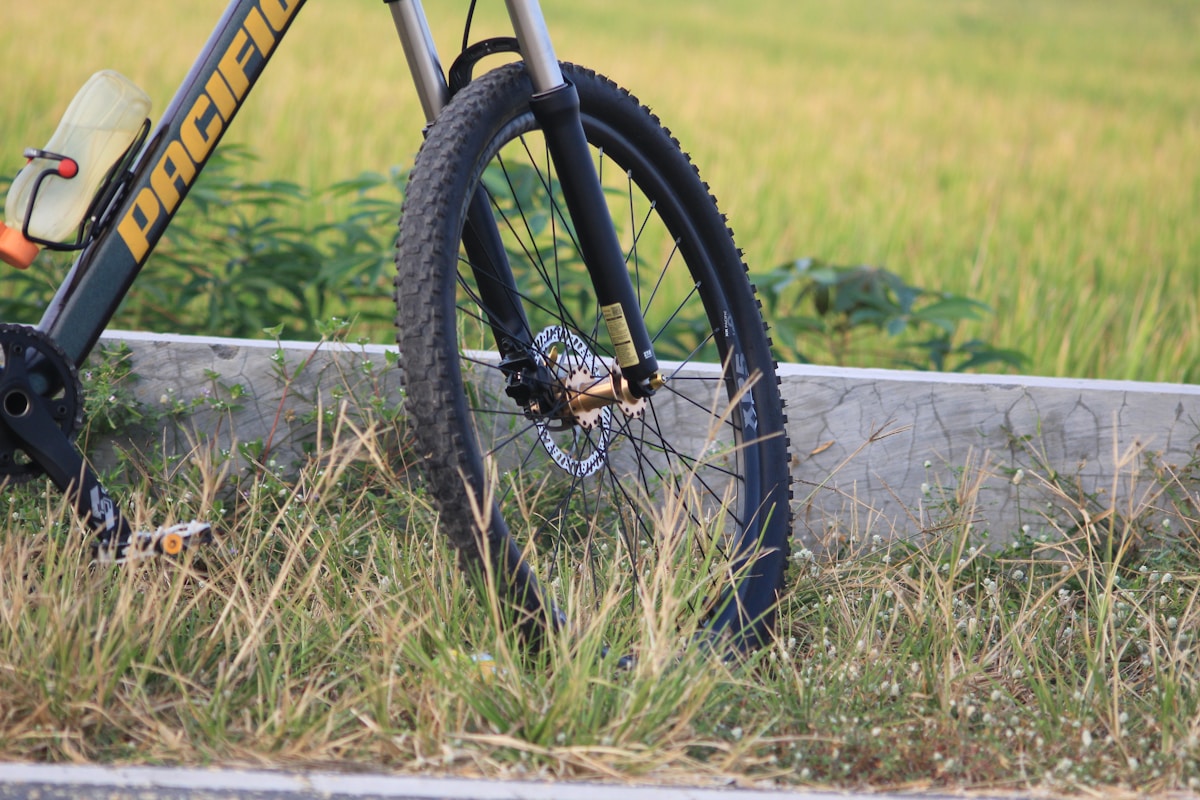 The Flat Tire 