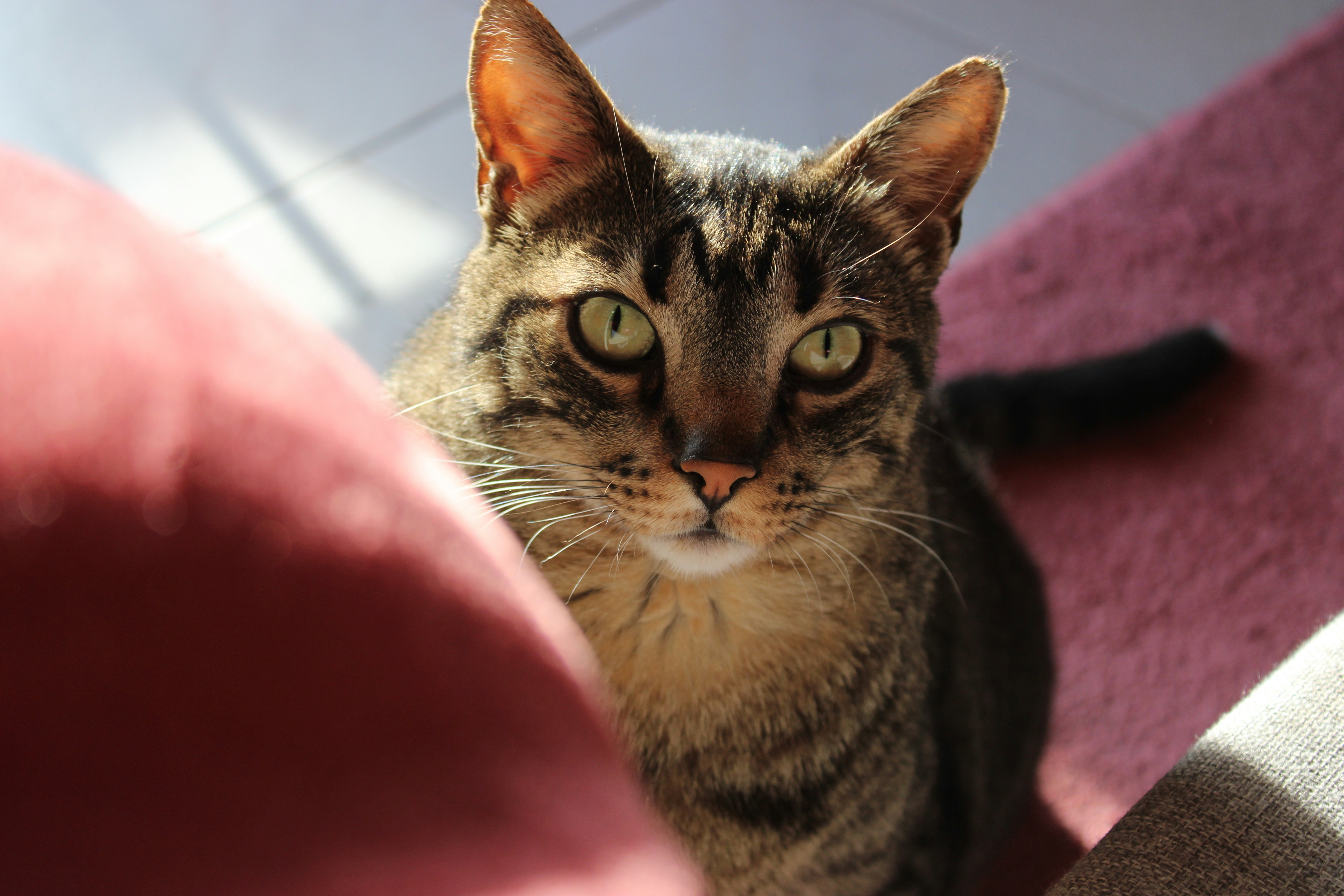 Photo by mary_karletsoy