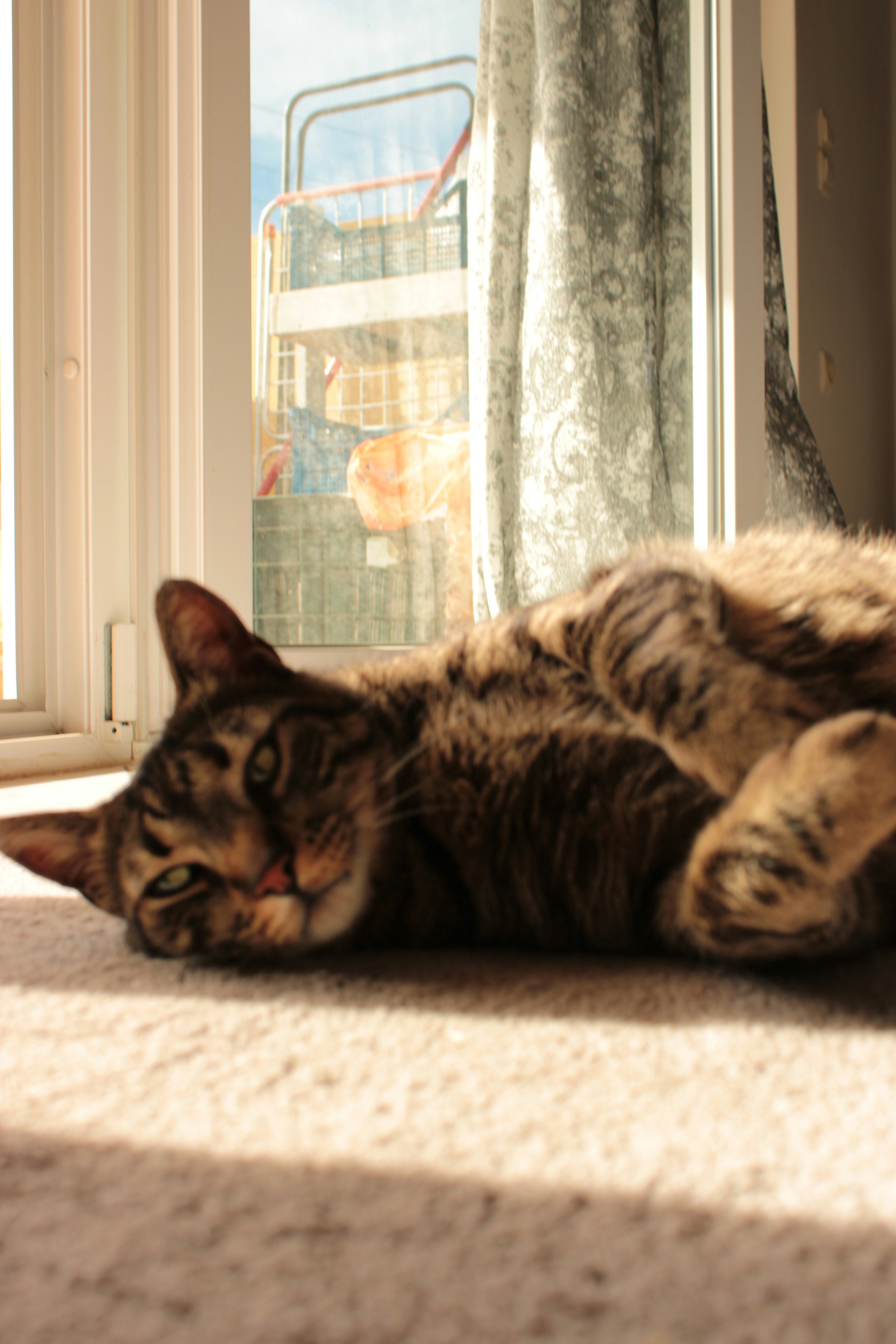 Photo by mary_karletsoy