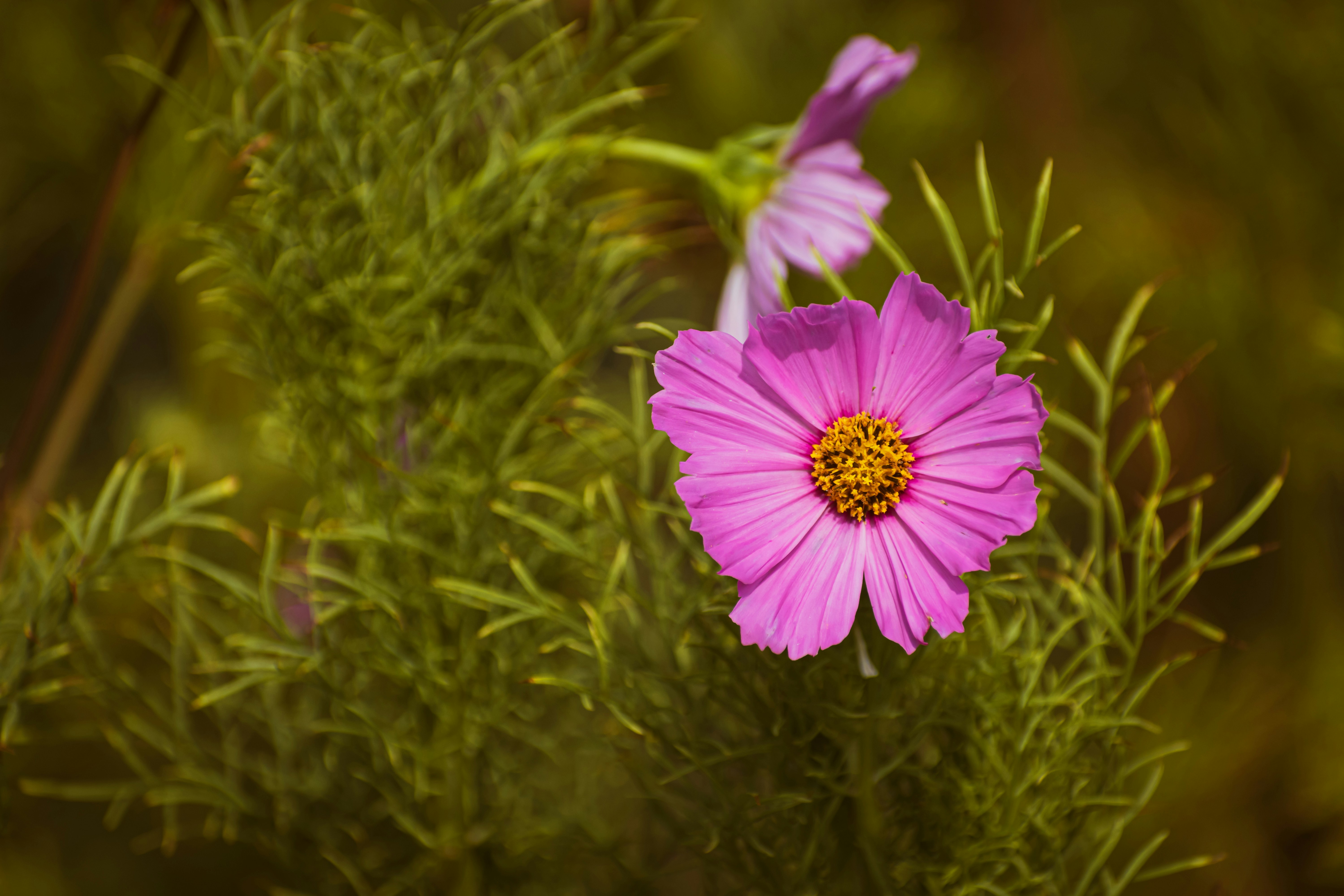 Photo by niki_emmert