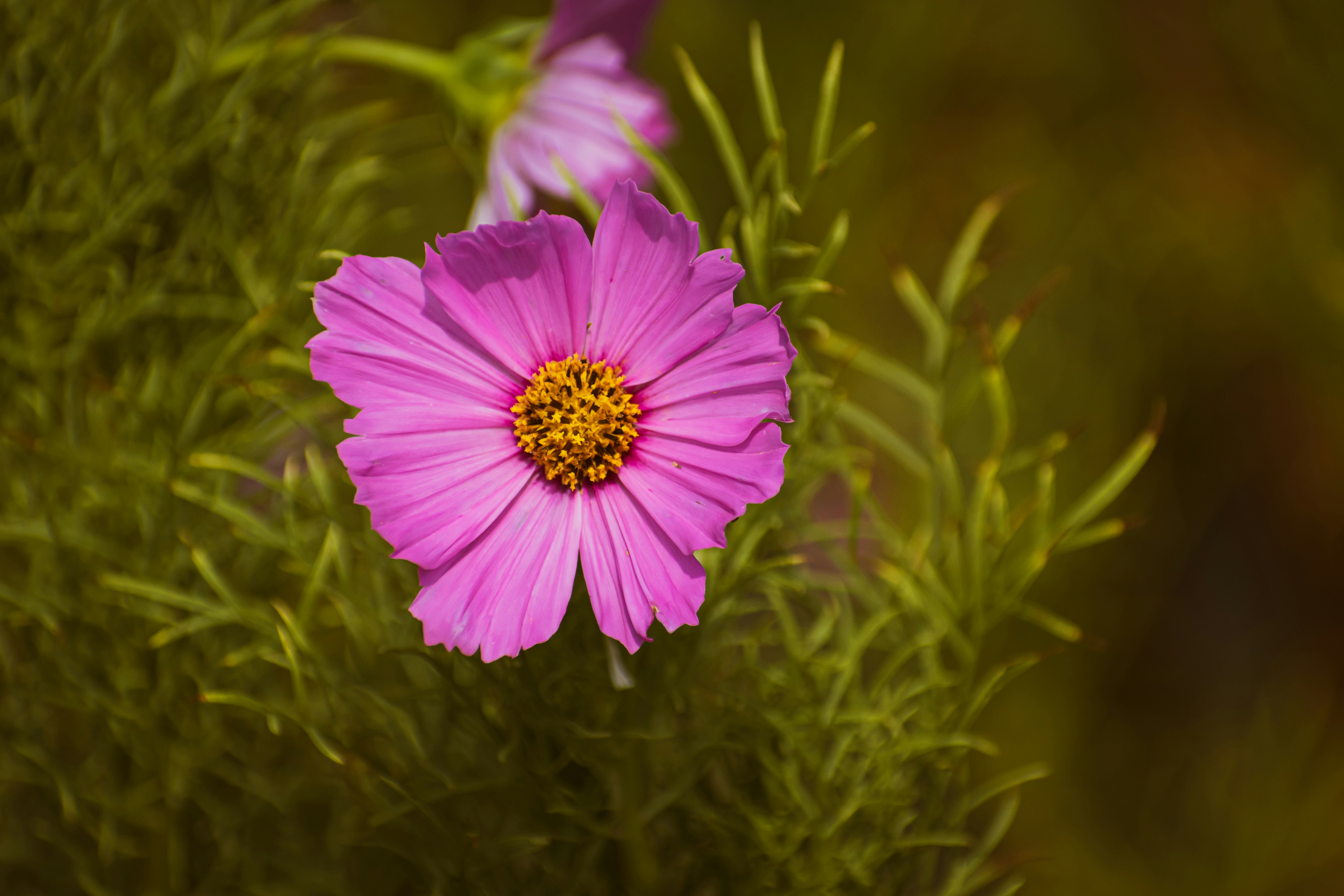 Photo by niki_emmert