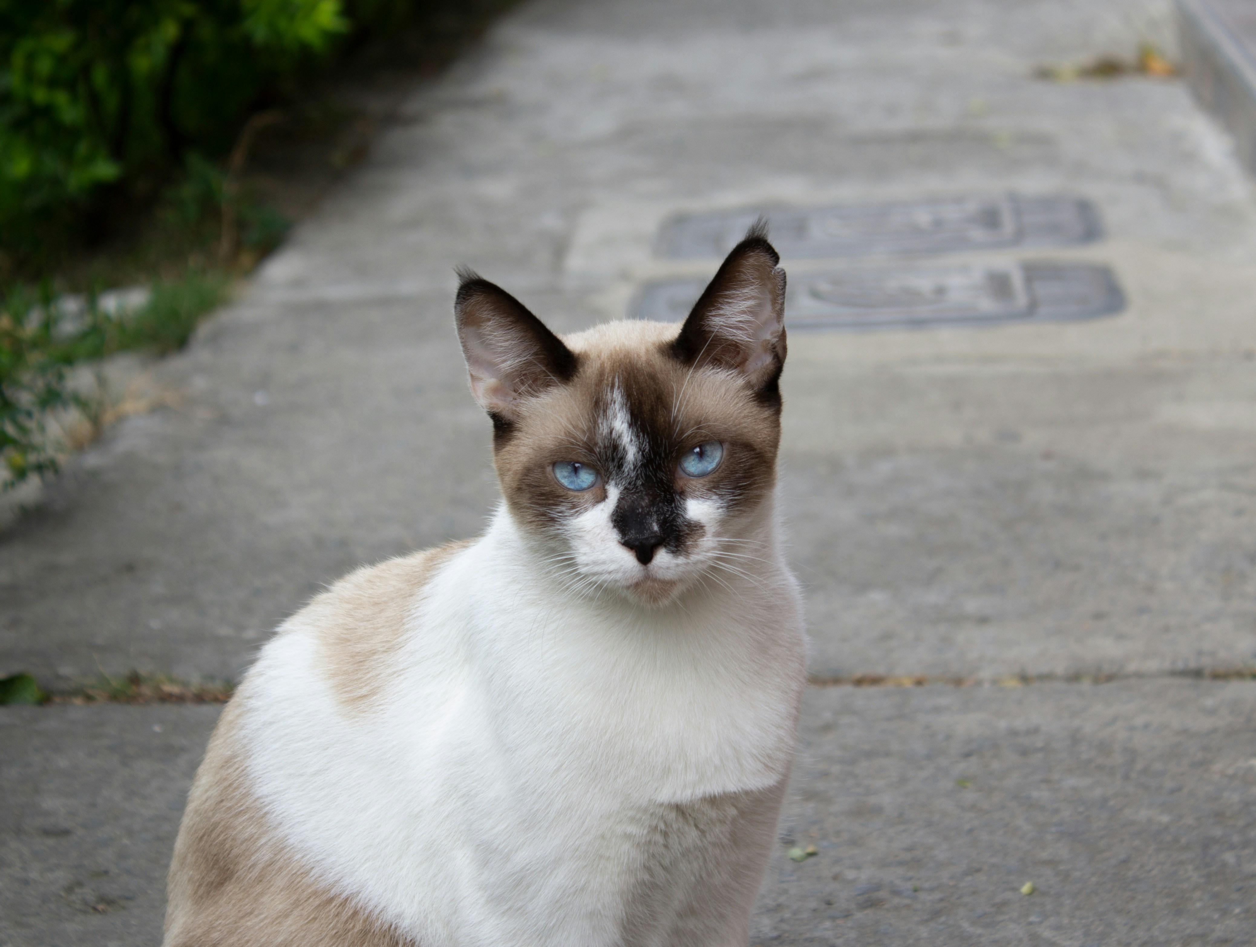 Photo by fundrisingformysonmedicalcondition