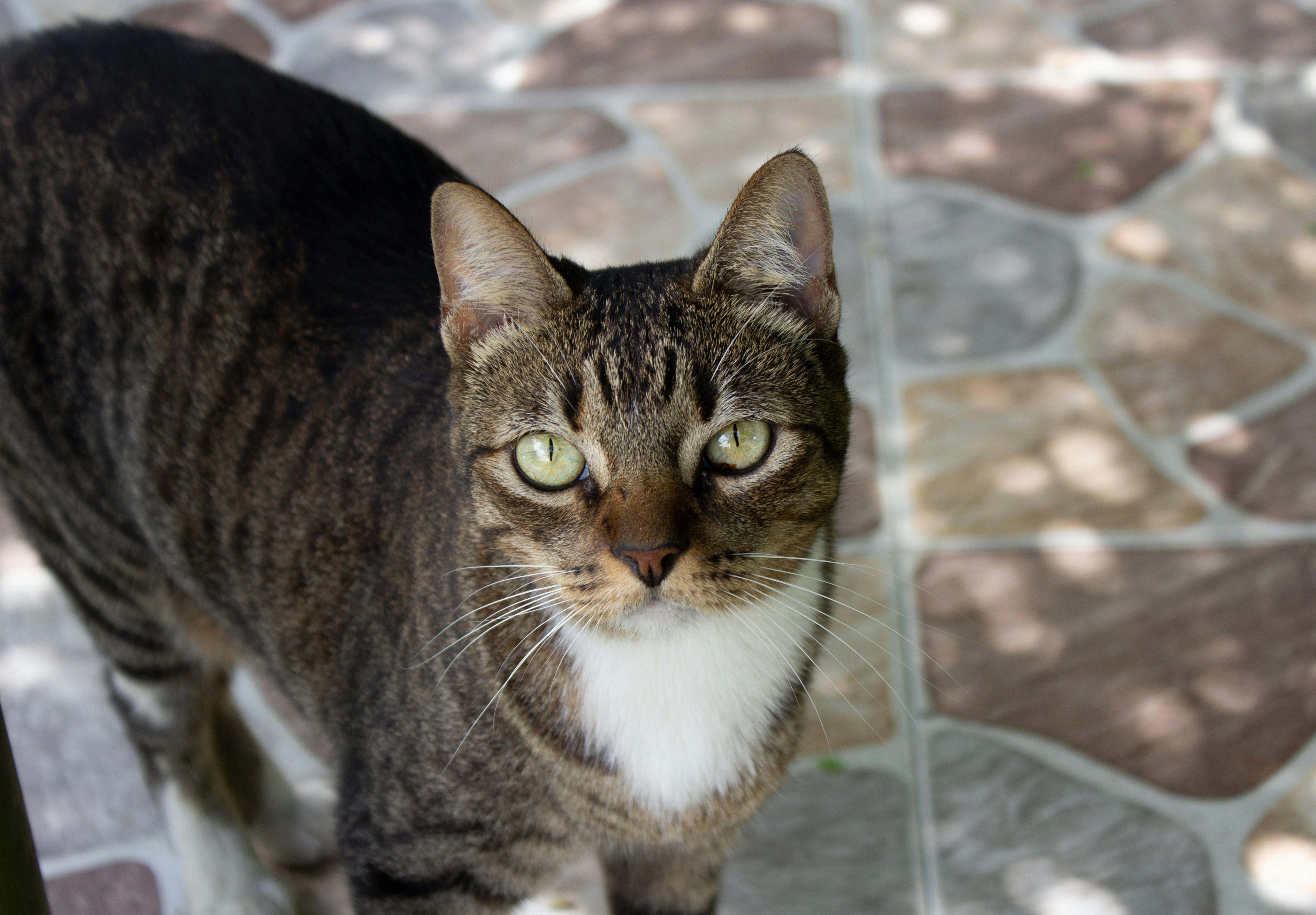 Photo by fundrisingformysonmedicalcondition