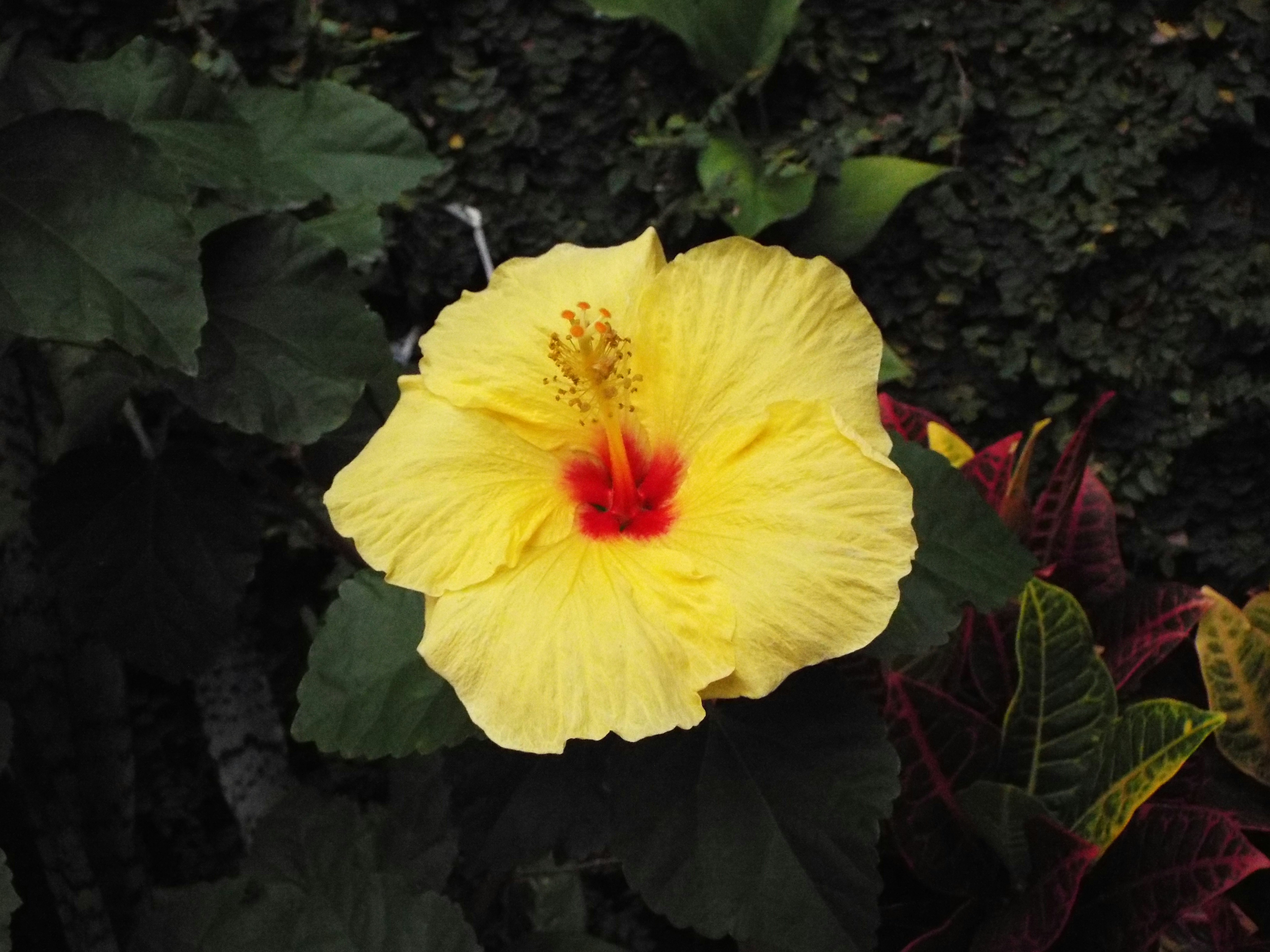 Photo by fundrisingformysonmedicalcondition